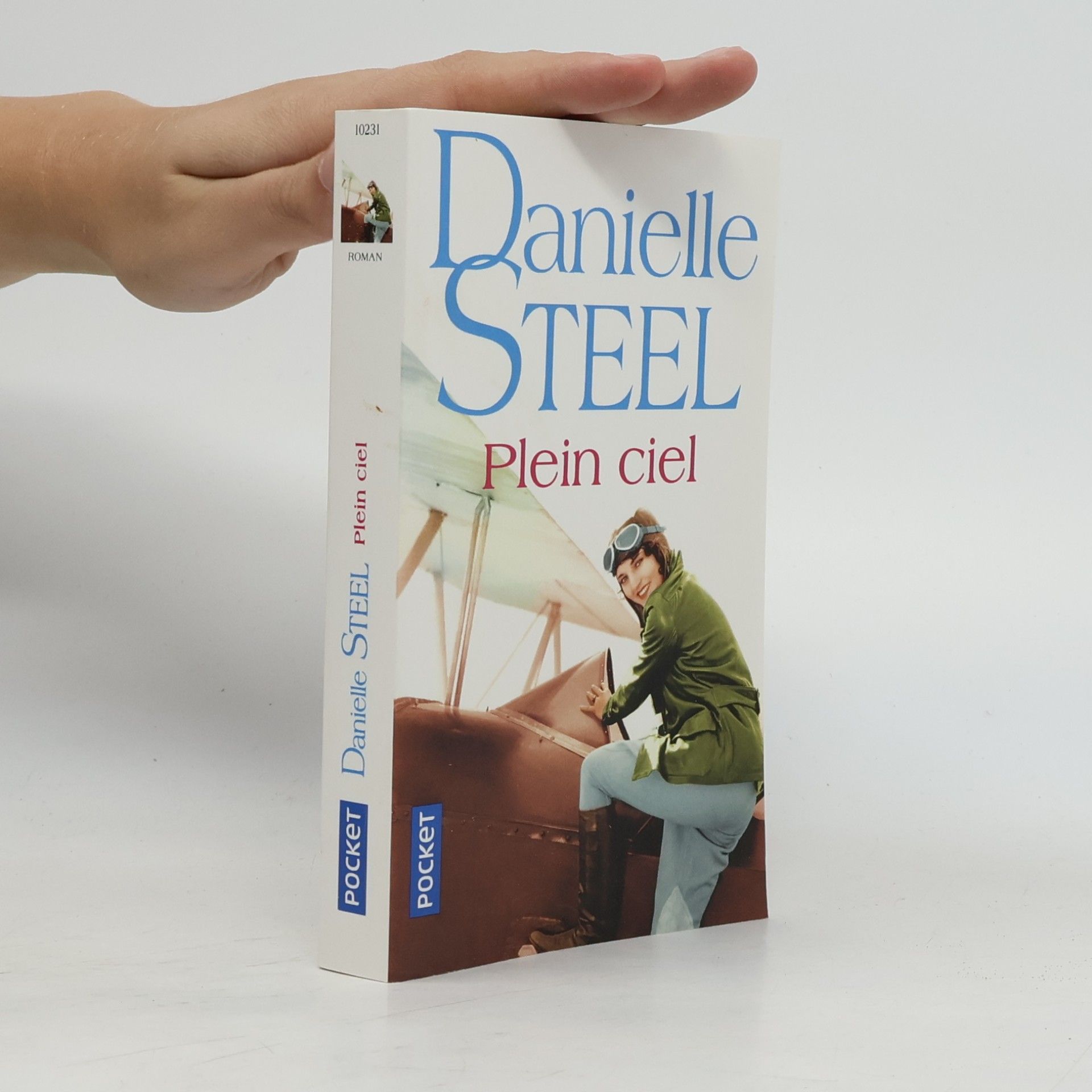 Danielle Steel Plein ciel