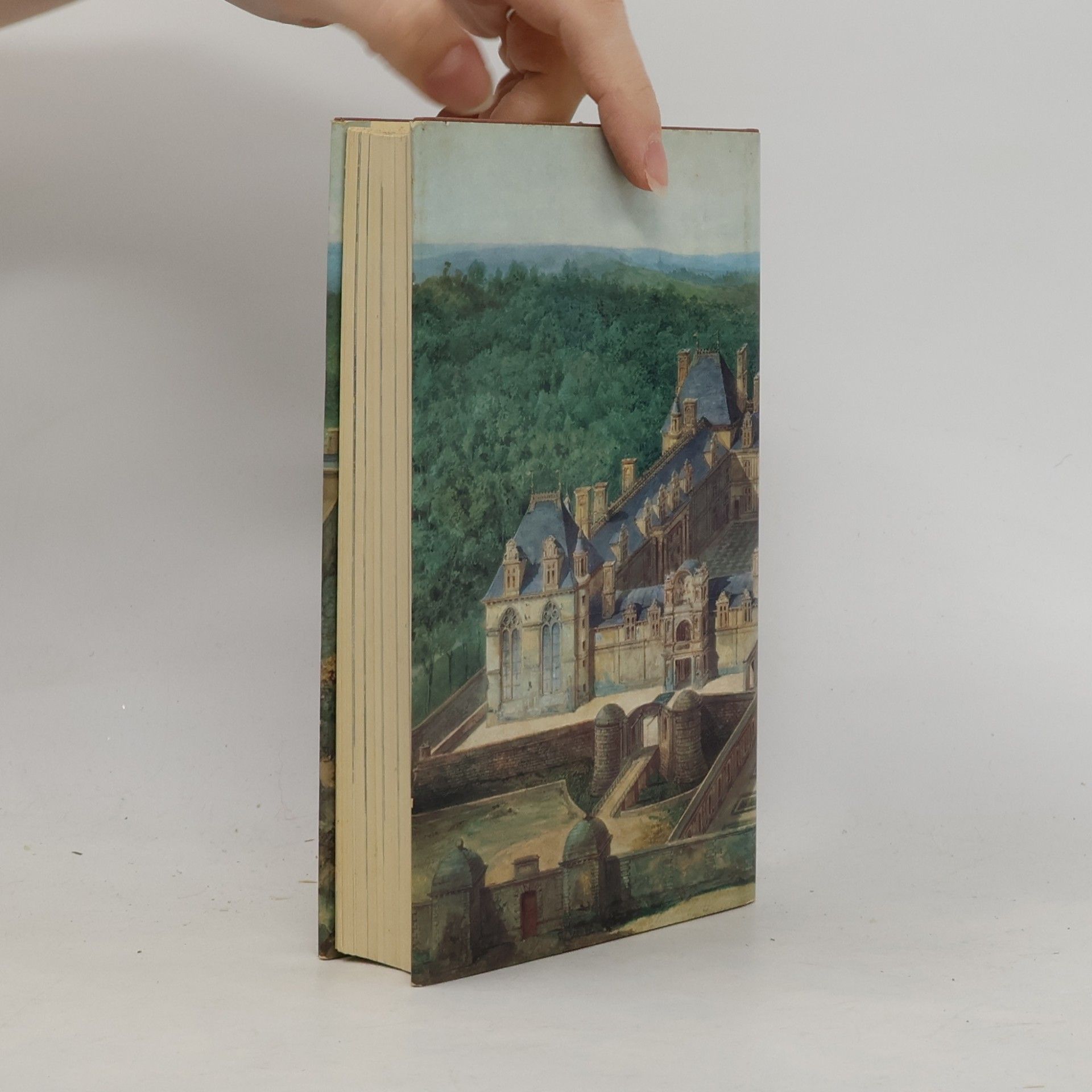 Georges Poisson Schlösser der Ile-de-France rund um Paris