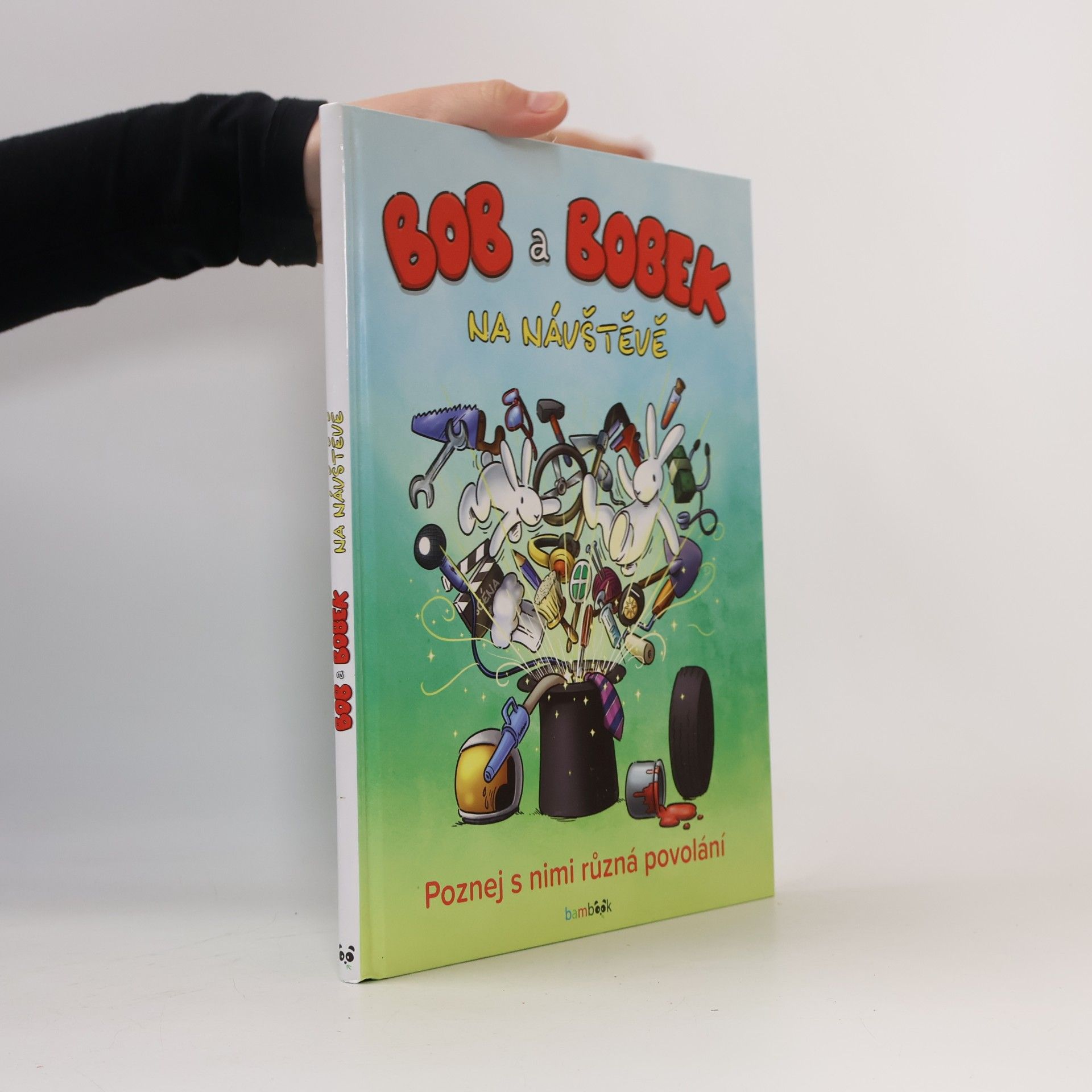 Bob a Bobek: Na návštěvě