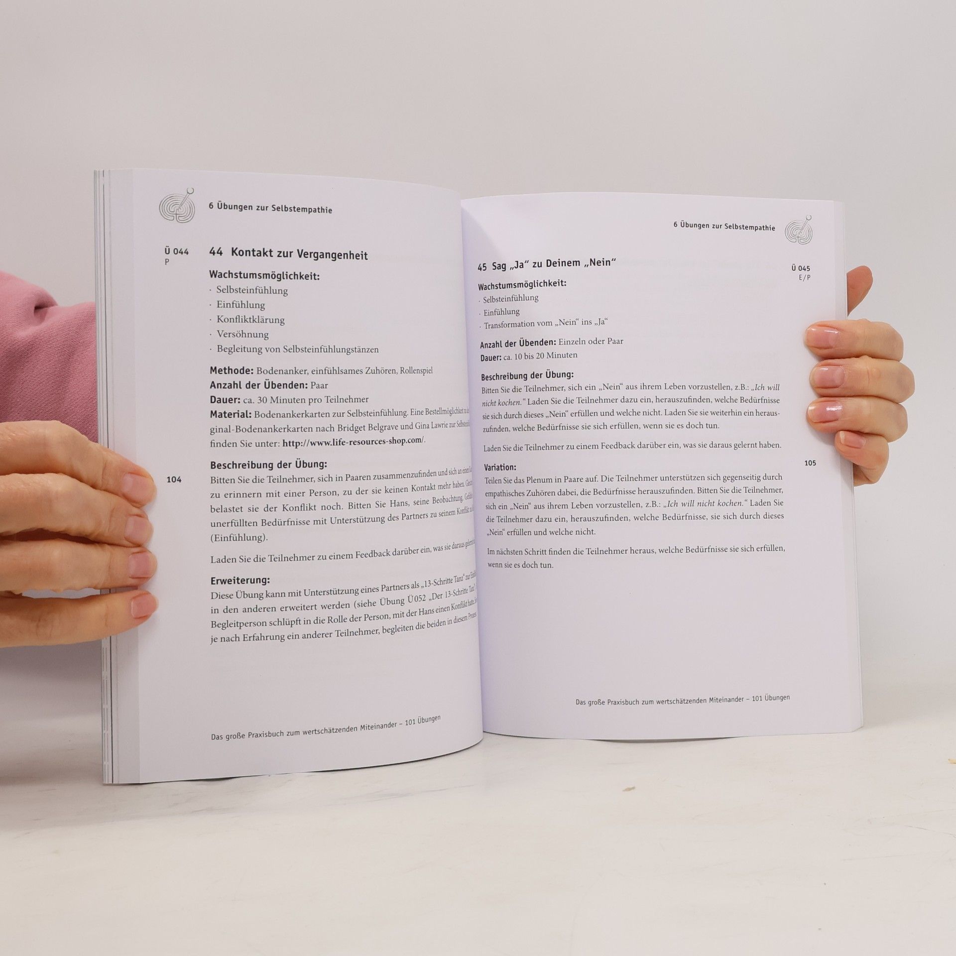 Irmtraud Kauschat Das große Praxisbuch zum wertschätzenden Miteinander