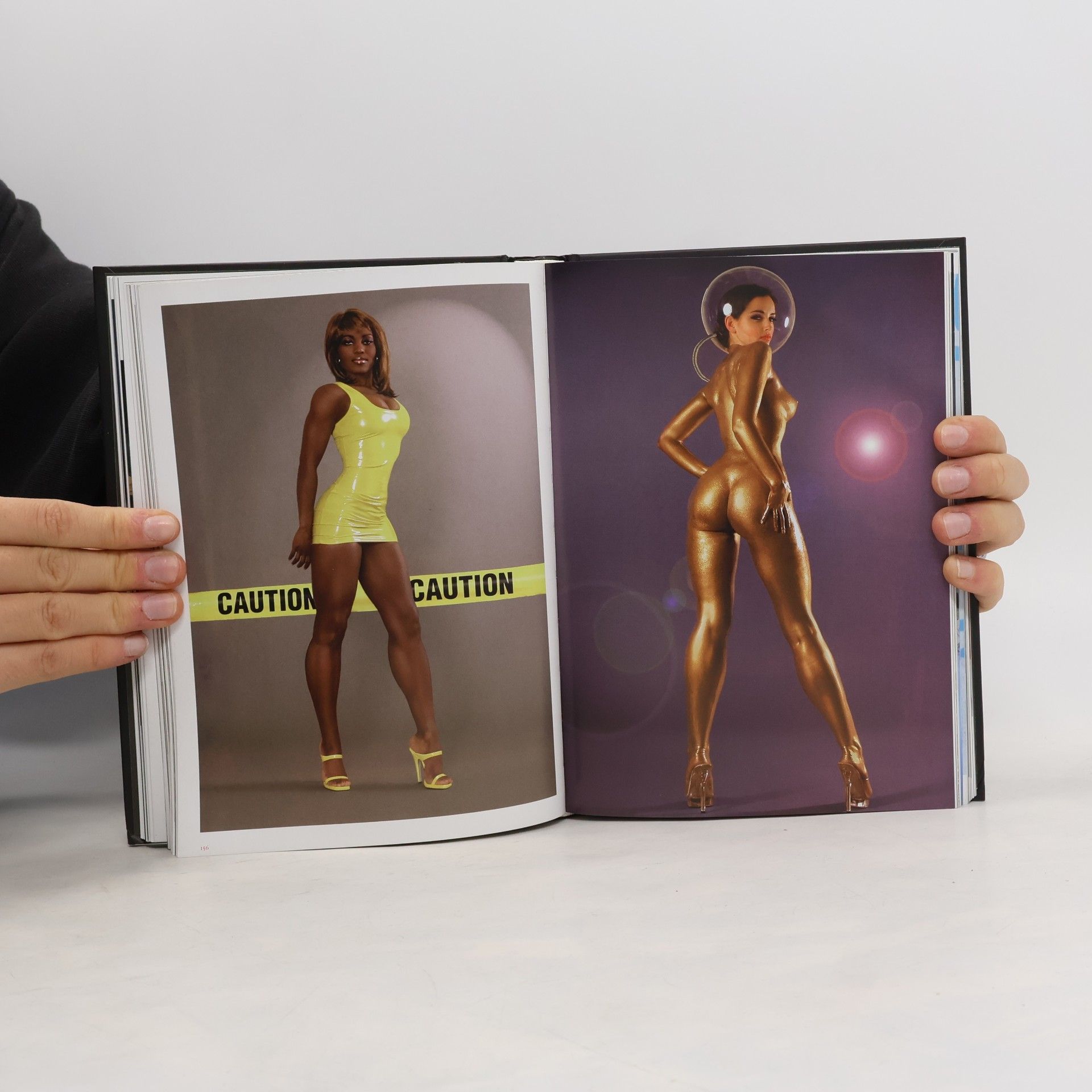 Dian Hanson The new erotic photography