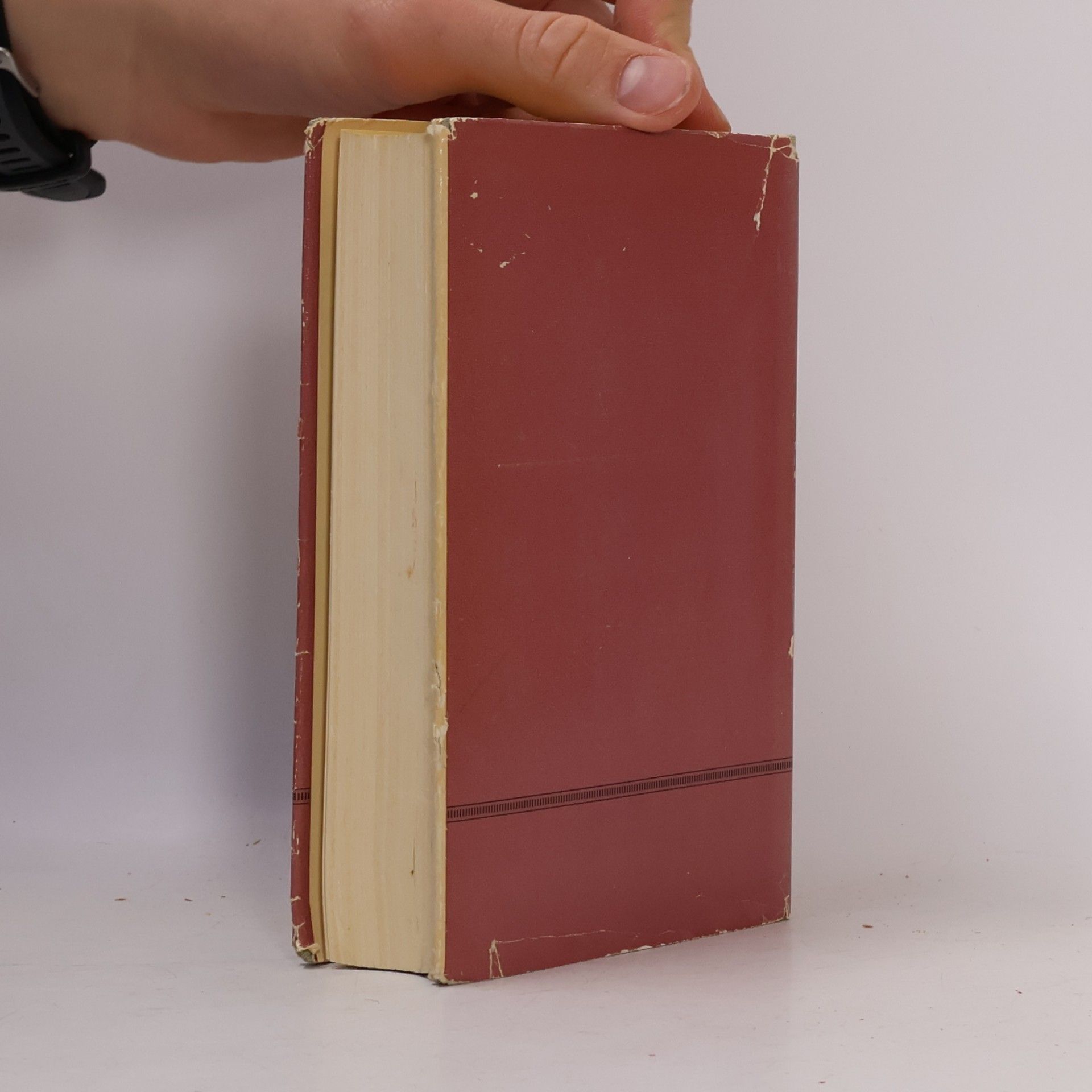 Autorenkollektiv Die Apokryphen Schriften zum Neuen Testament