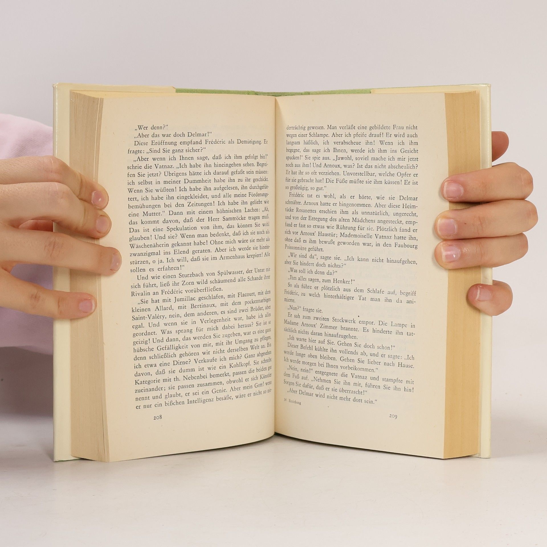 Gustave Flaubert Die Erziehung der Gefühle