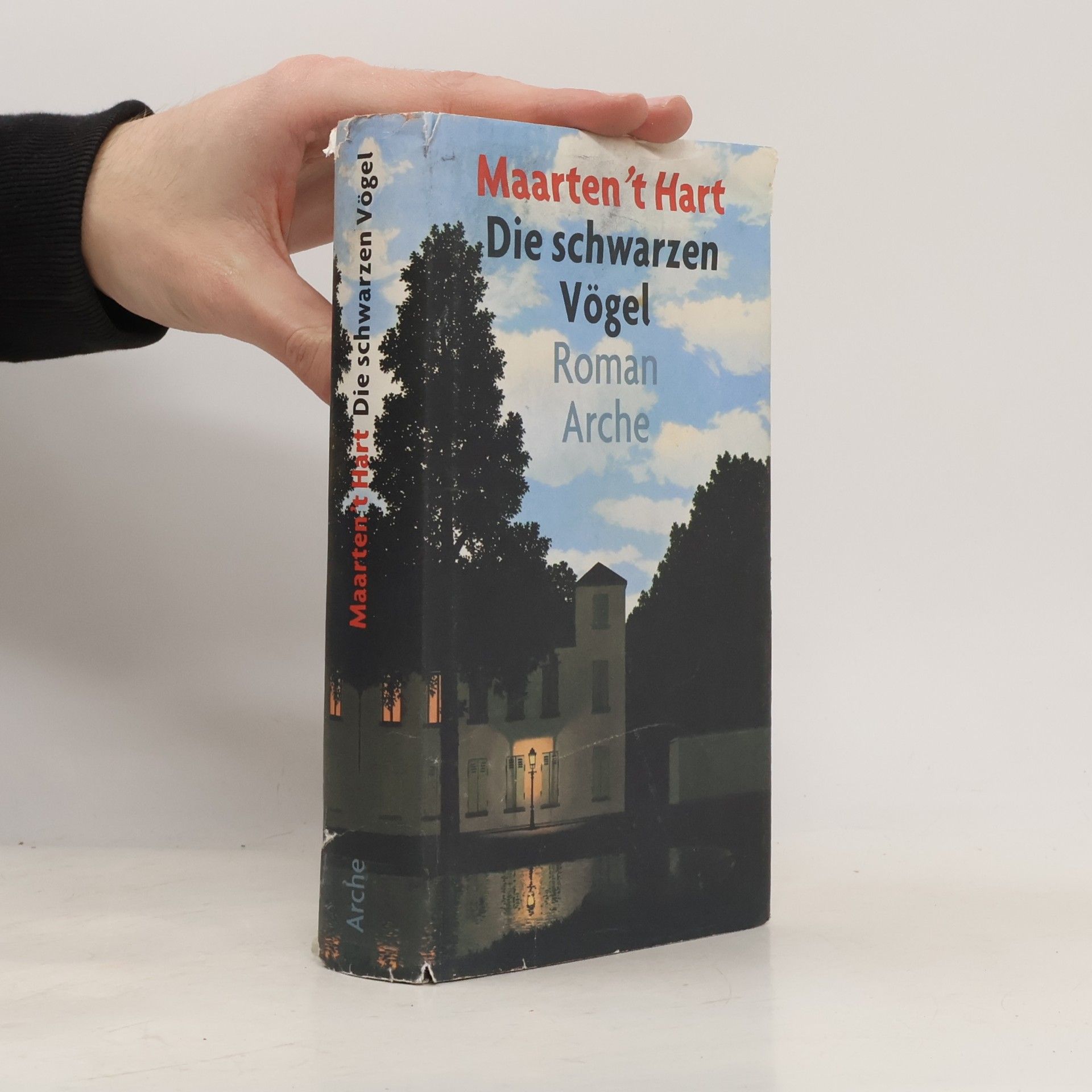 Maarten ’t Hart Die schwarzen Vögel
