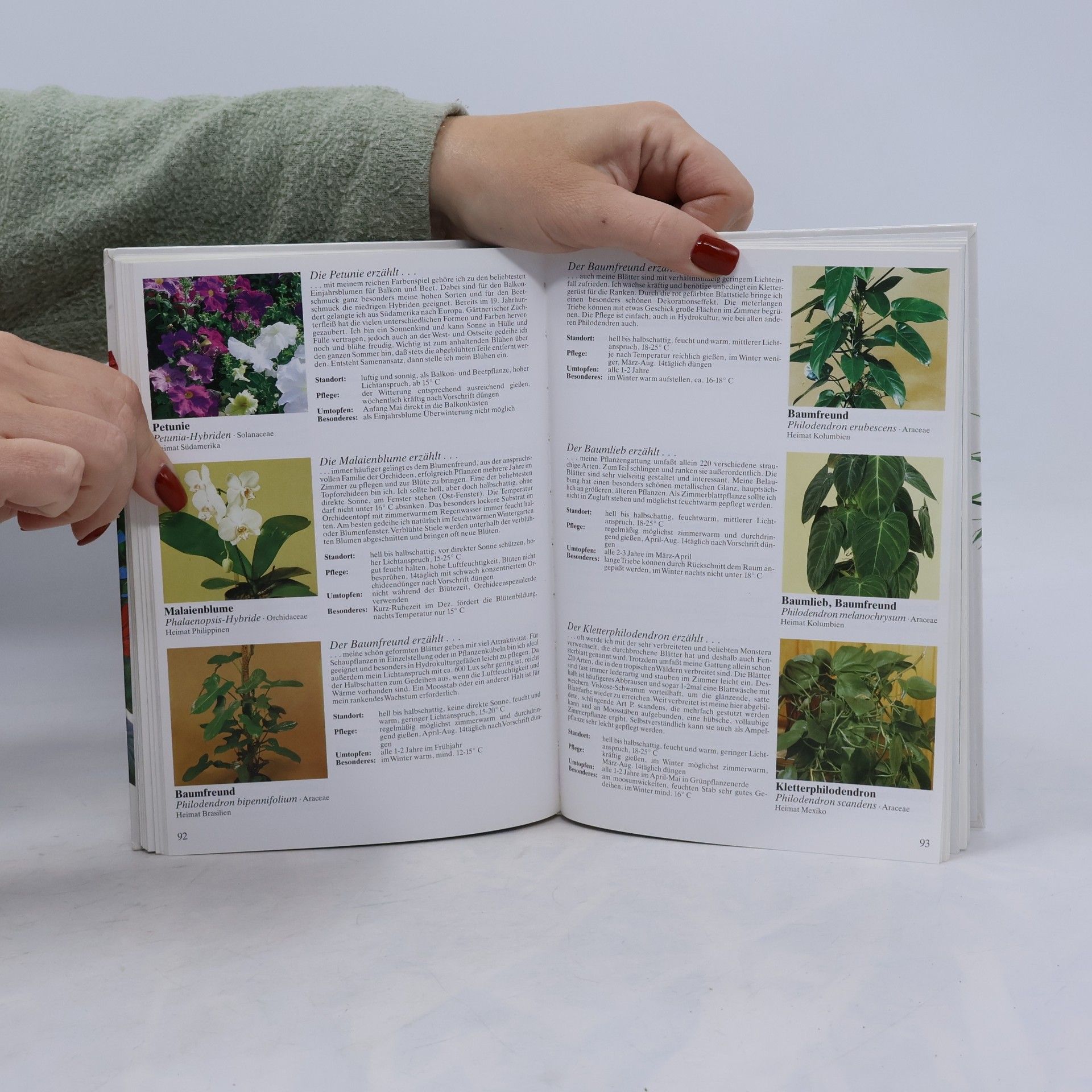 A. Güse Zimmerpflanzen- Lexikon. Dreihundert bunte Blumengrüße