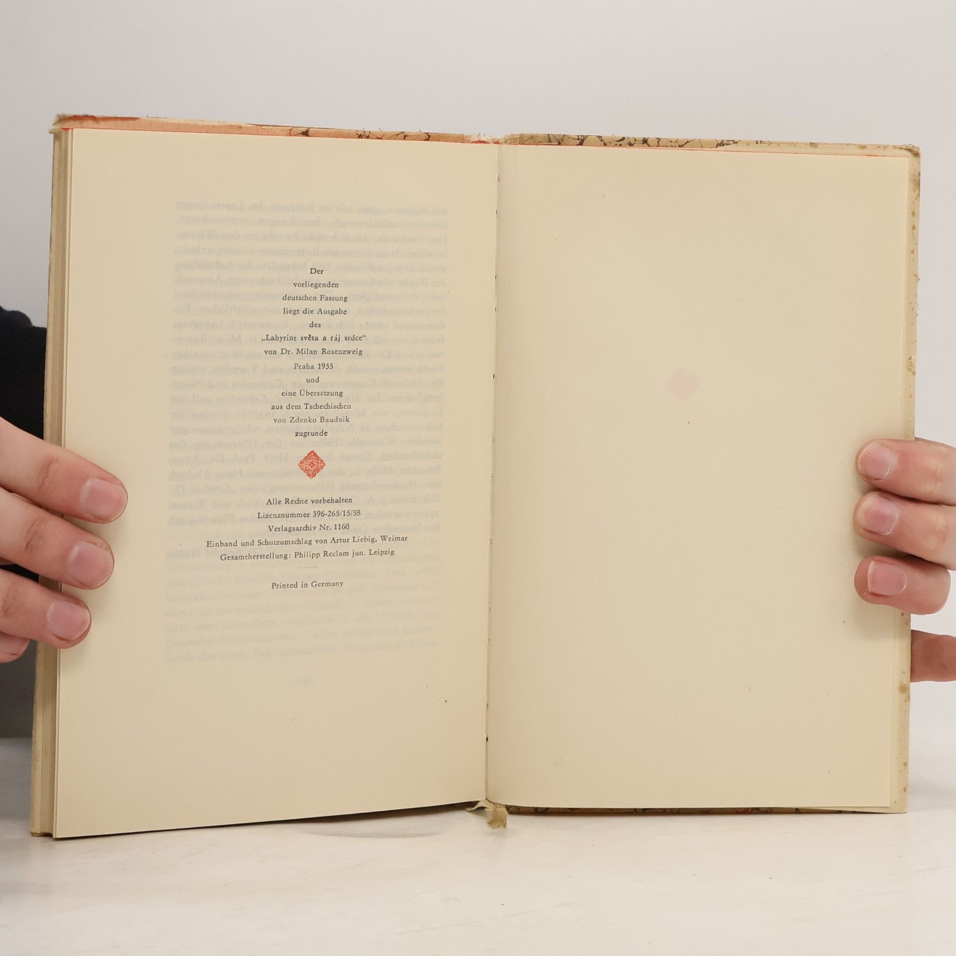 Johann Amos Comenius Das Labyrinth der Welt