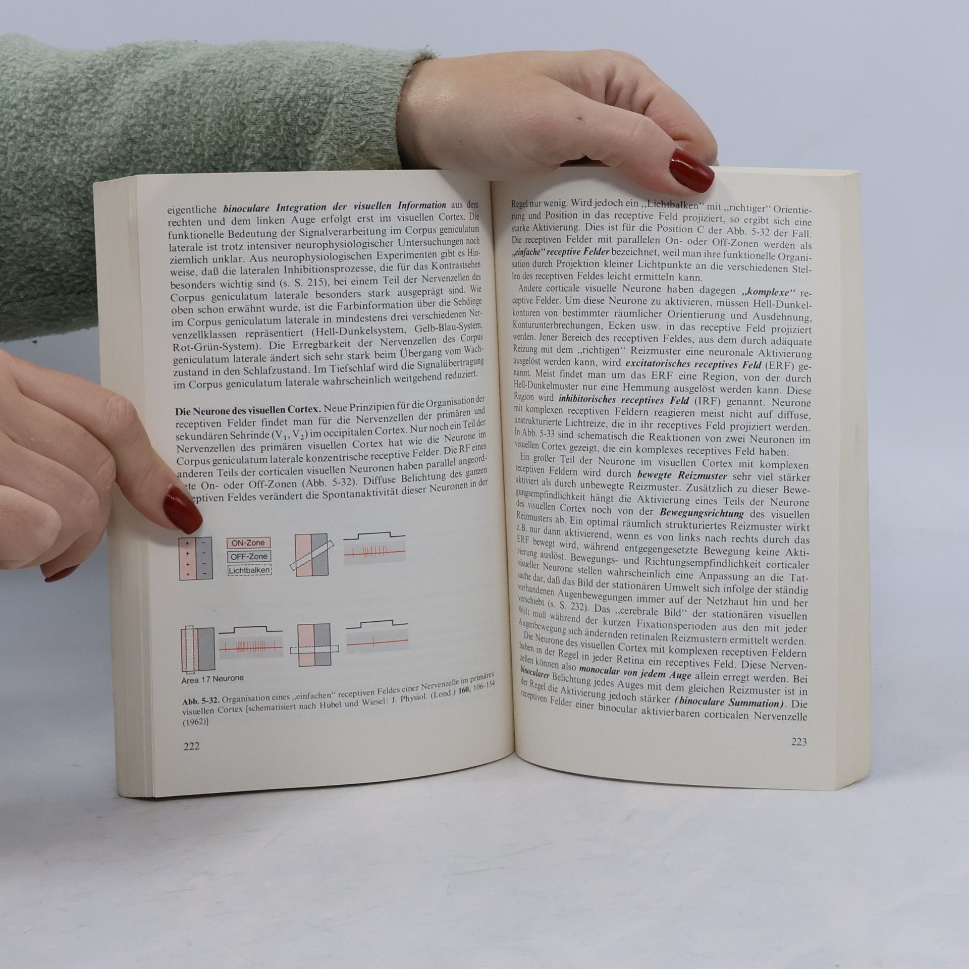 Robert F. Schmidt Heidelberger Taschenbücher Basistext - 136: Grundriß der Sinnesphysiologie - Fünfte, neubearbeitete und erweiterte Auflage