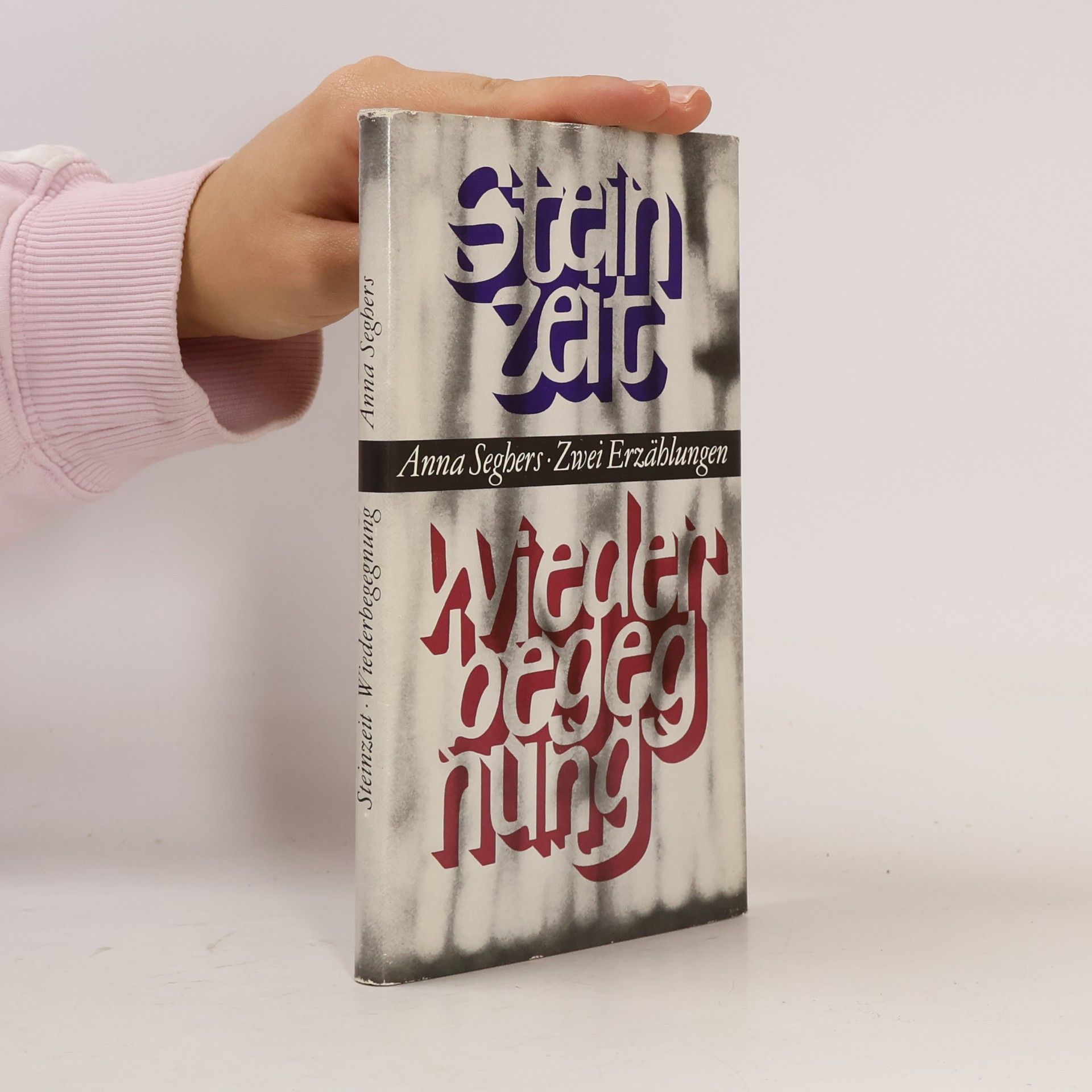 Anna Seghers Steinzeit · Wiederbegegnung