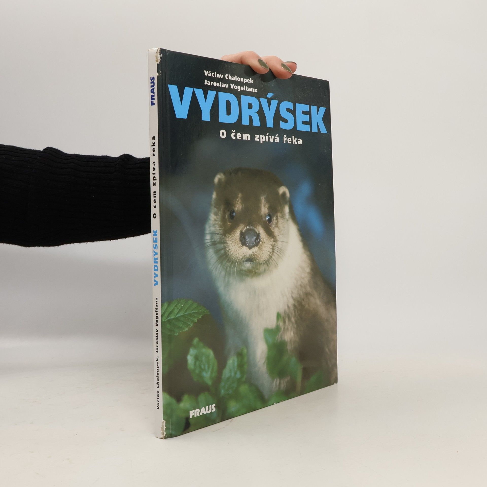Jaroslav Vogeltanz Vydrýsek. O čem zpívá řeka