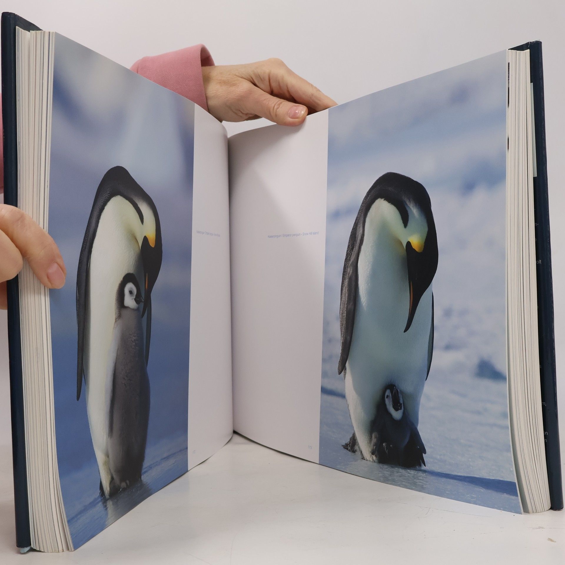 Thorsten Milse Polar World