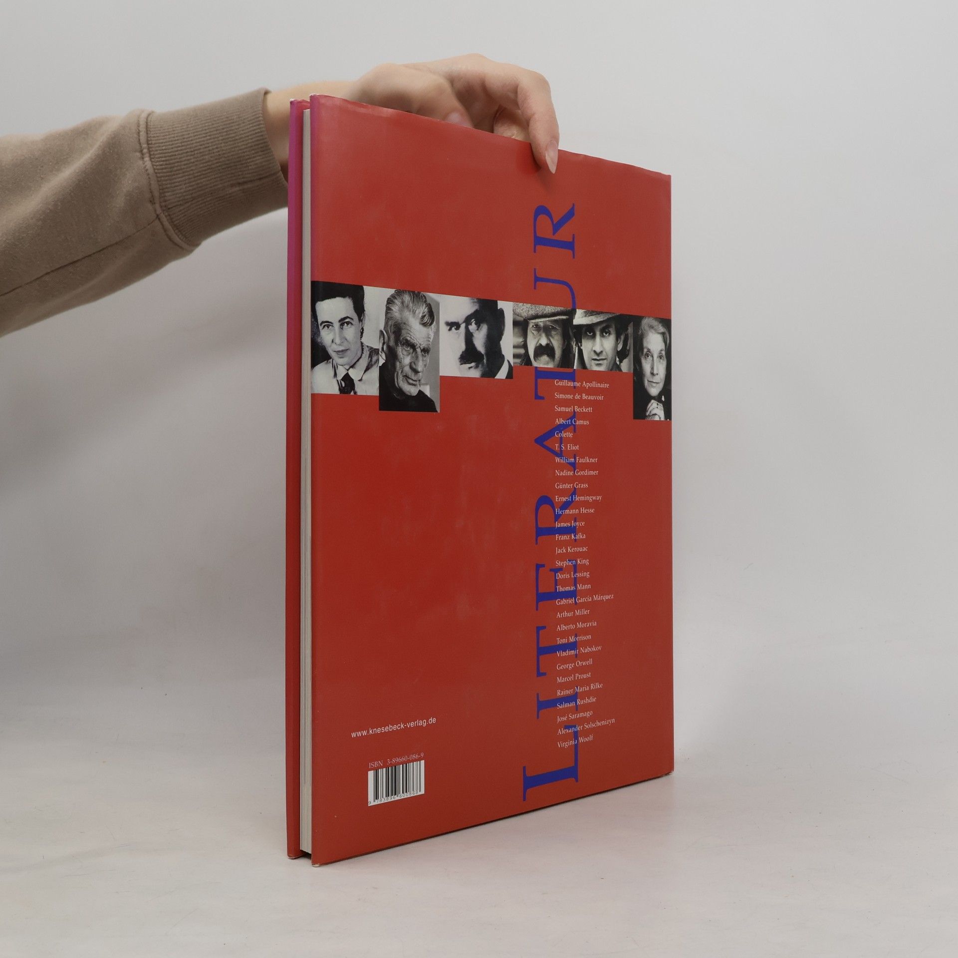 Sheena Joughin Literaturgeschichte des 20. Jahrhunderts