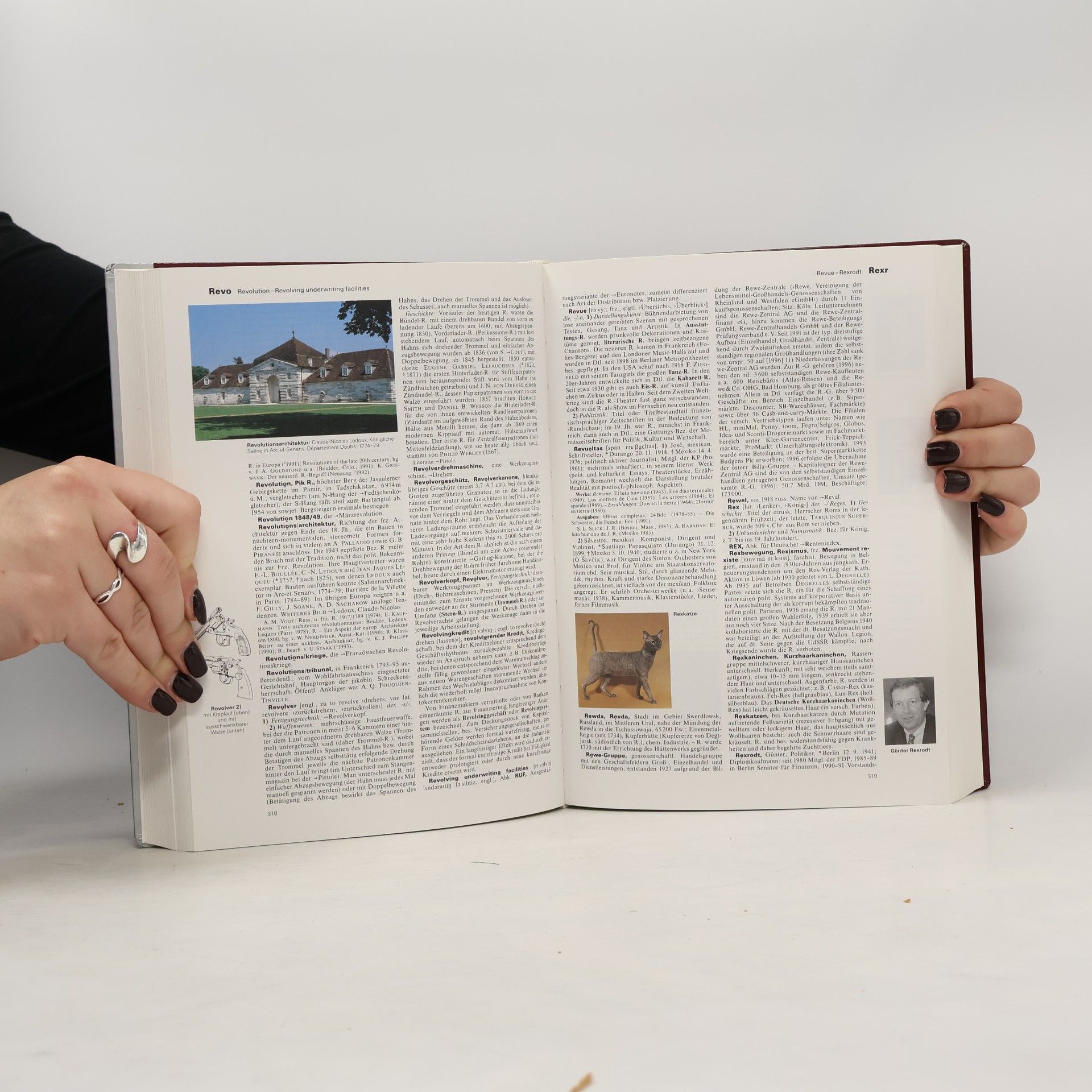Autorenkollektiv Brockhaus 18. Die Enzyklopädie RAH-SAF