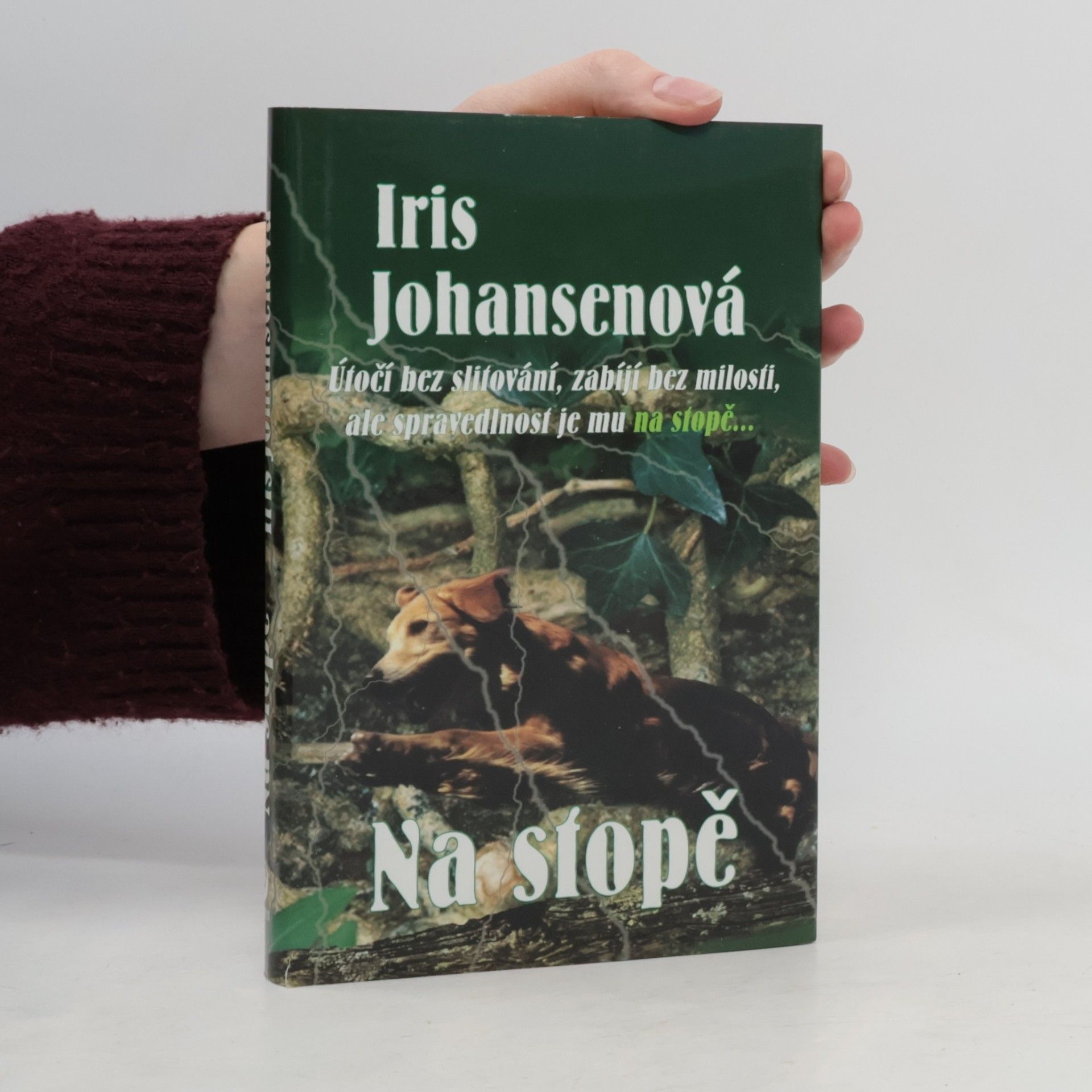 Iris Johansen Na stopě