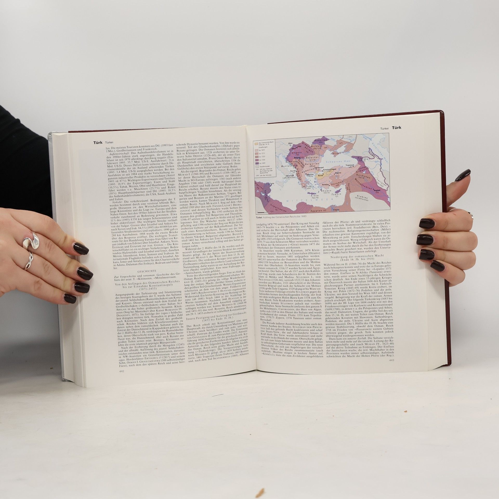 Autorenkollektiv Brockhaus 22