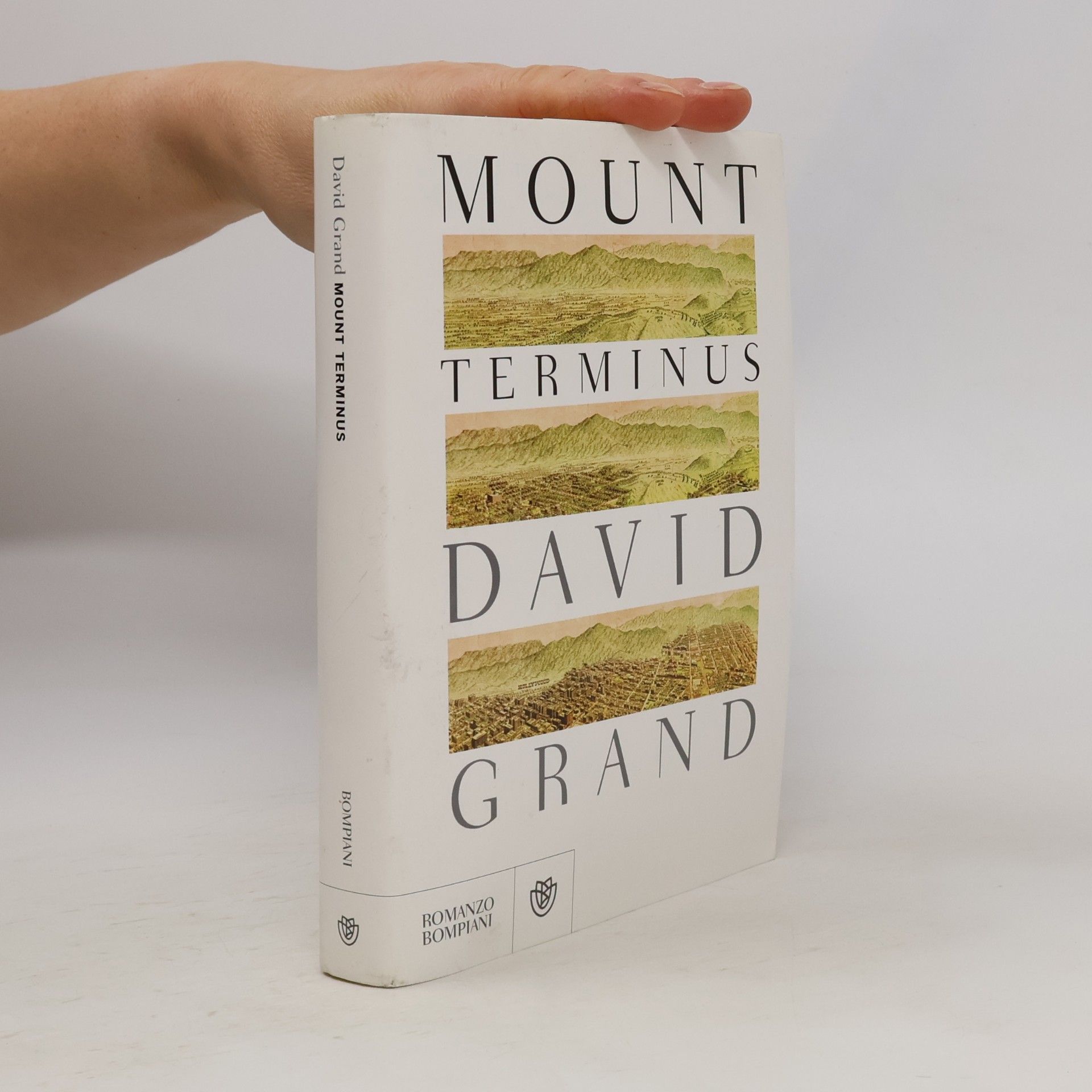 David Grand Mount Terminus