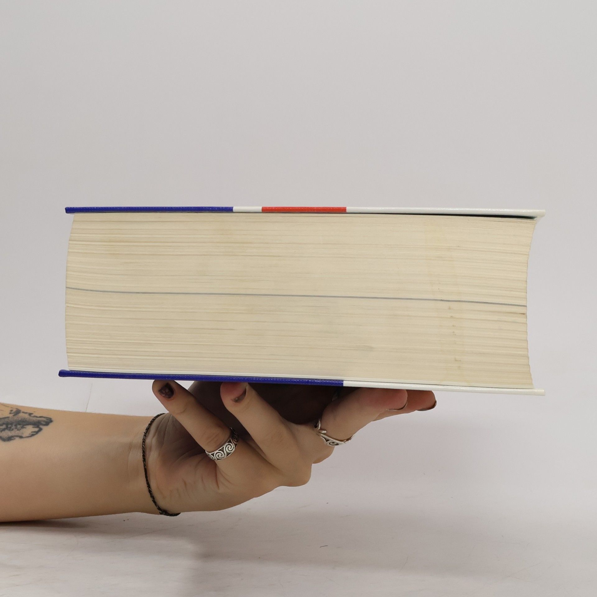 kolektiv Dizionario Inglese