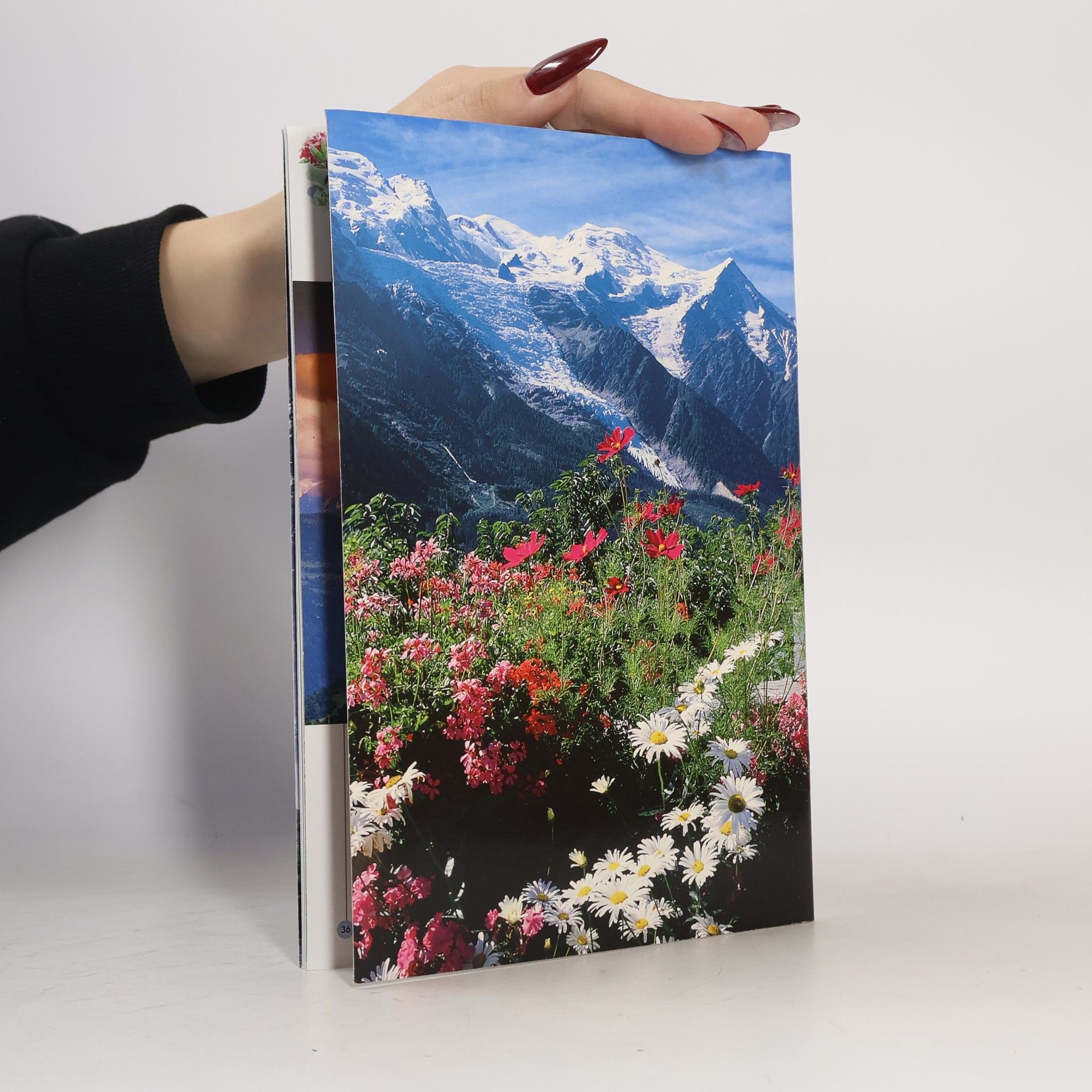 kolektiv La Haute Savoie