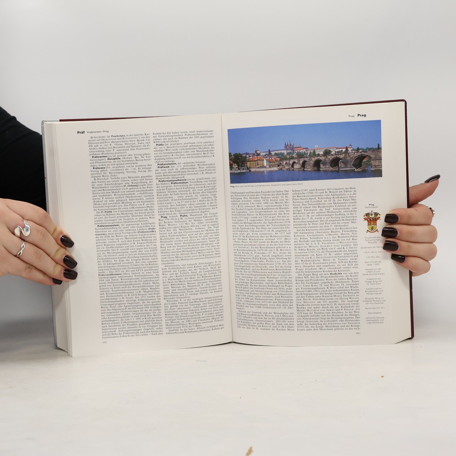 Autores varios Brockhaus 17