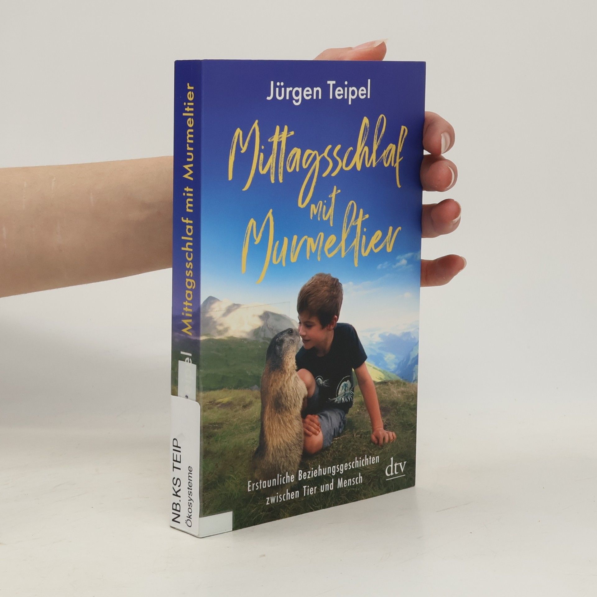 Mittagsschlaf mit Murmeltier