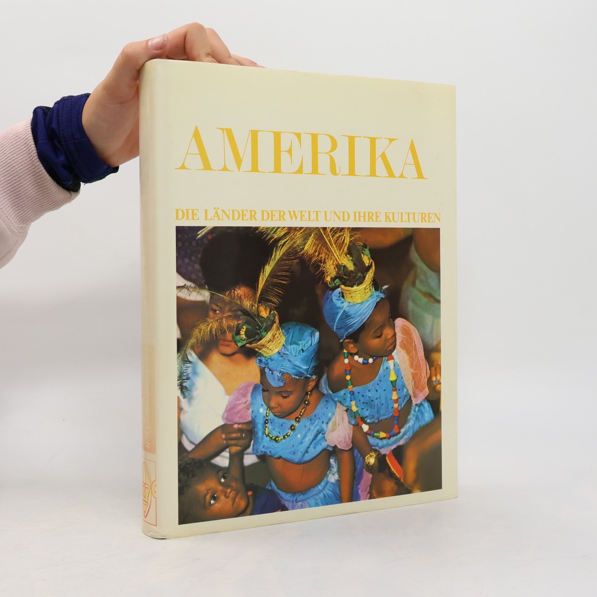 Kolektiv autorů Die Länder der Welt und ihre Kulturen. Amerika 2