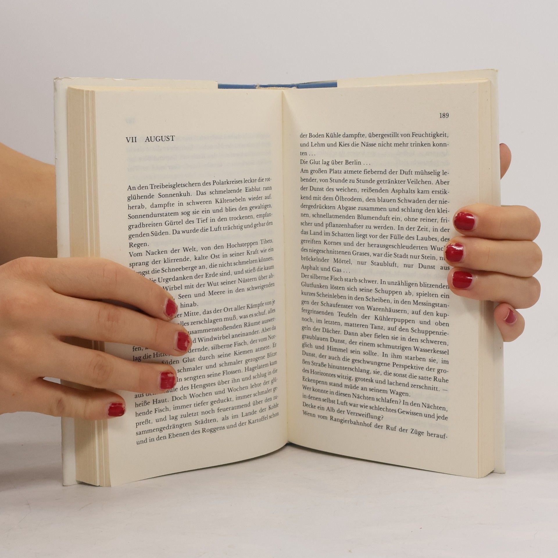 Paul Gurk Schriftenreihe Agora: Berlin