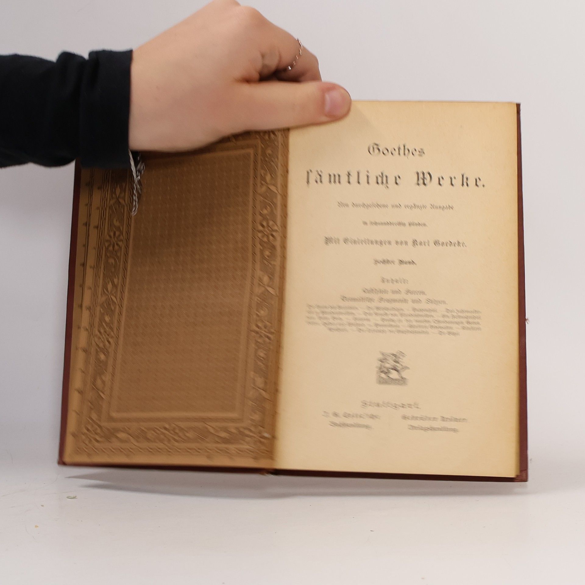 Johann Wolfgang von Goethe Goethes sämtliche Werke. Band 6