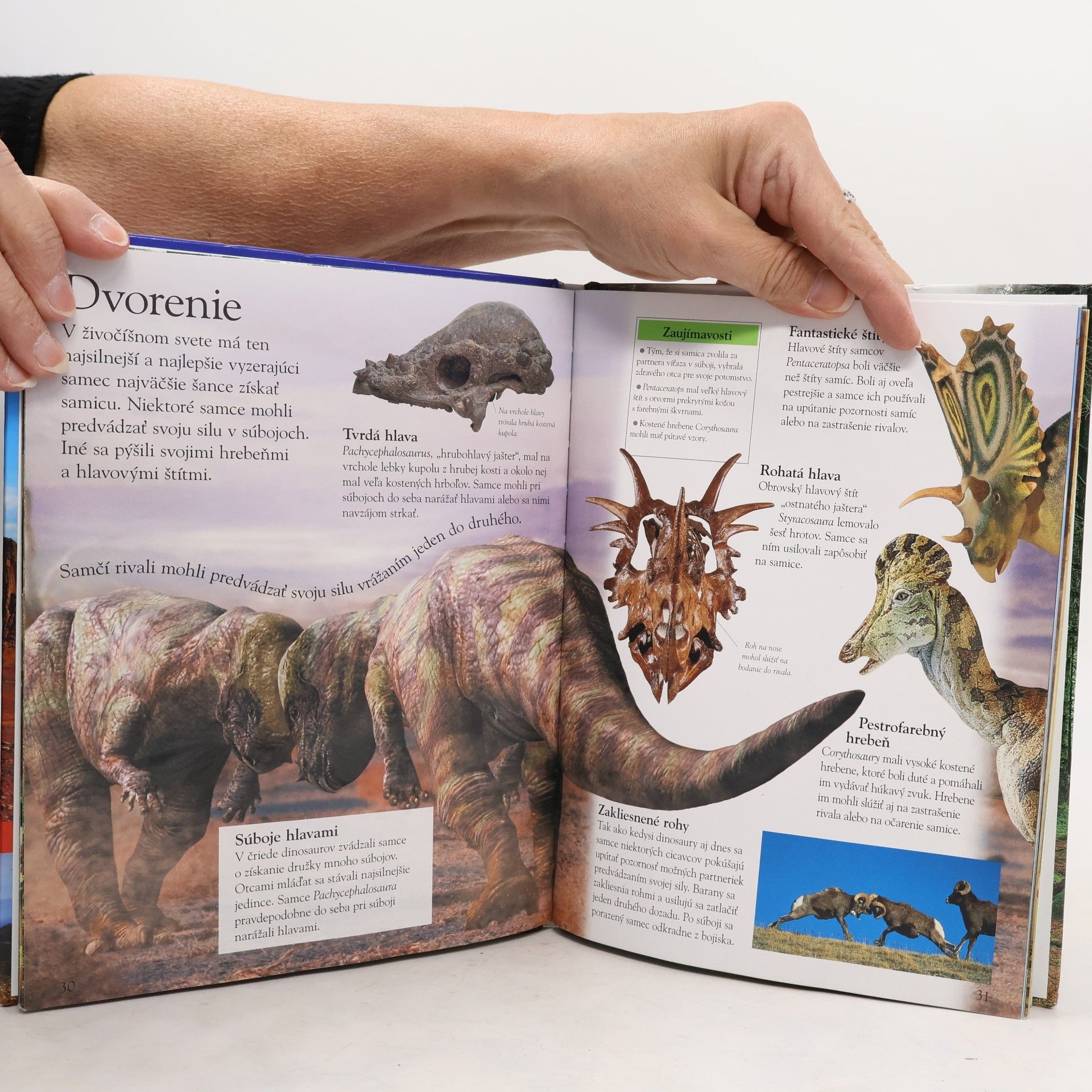 Sarah Walker Dinosaury