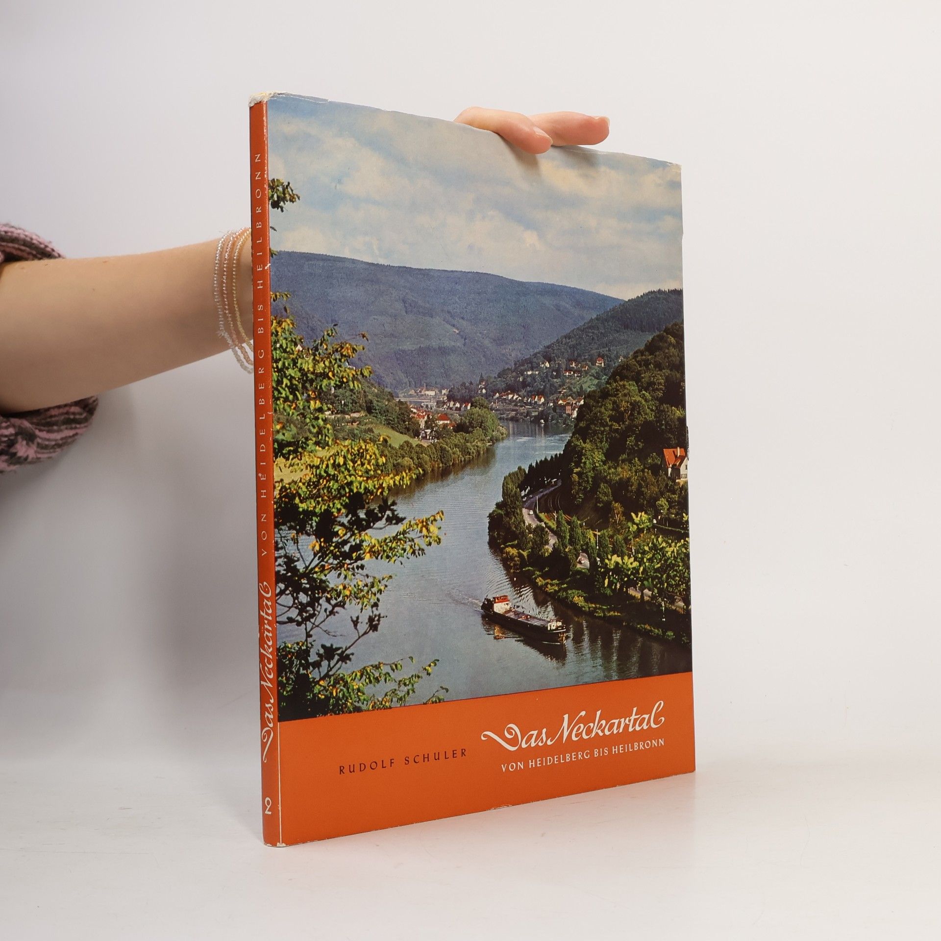 Das Neckartal von Heidelberg bis Heilbronn