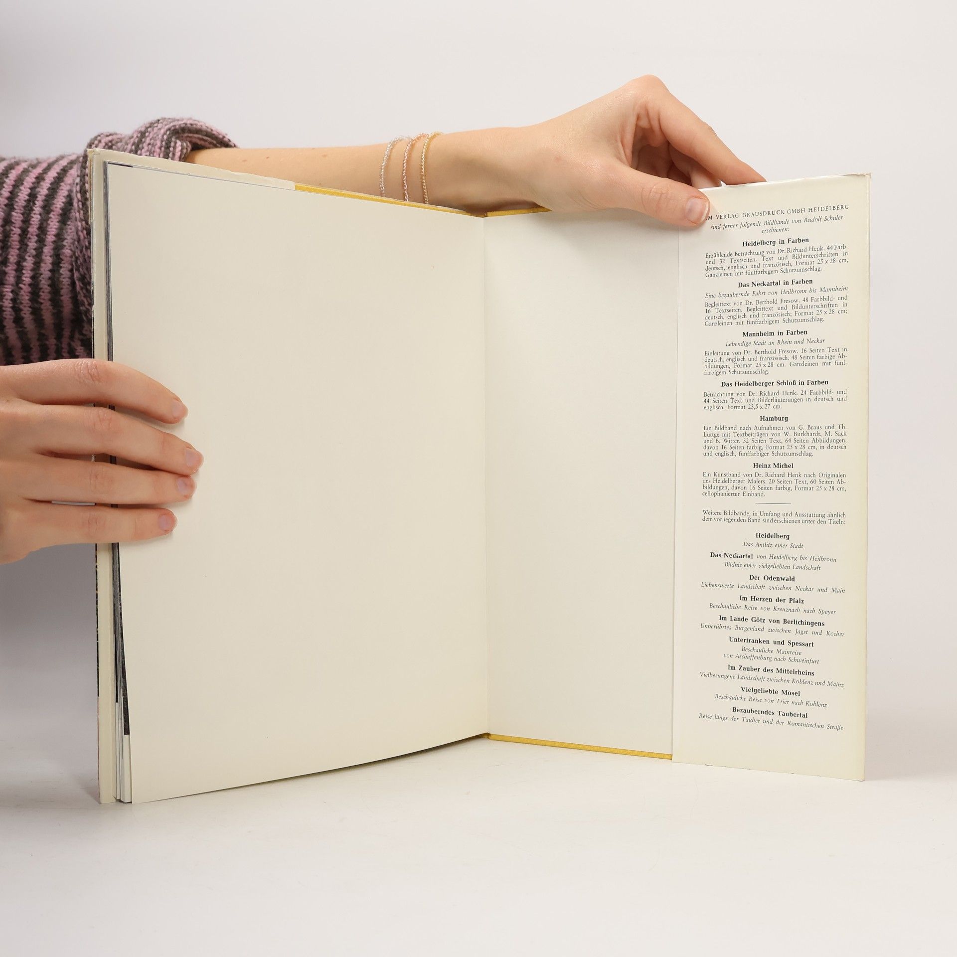 Rudolf Schuler Das Neckartal von Heidelberg bis Heilbronn