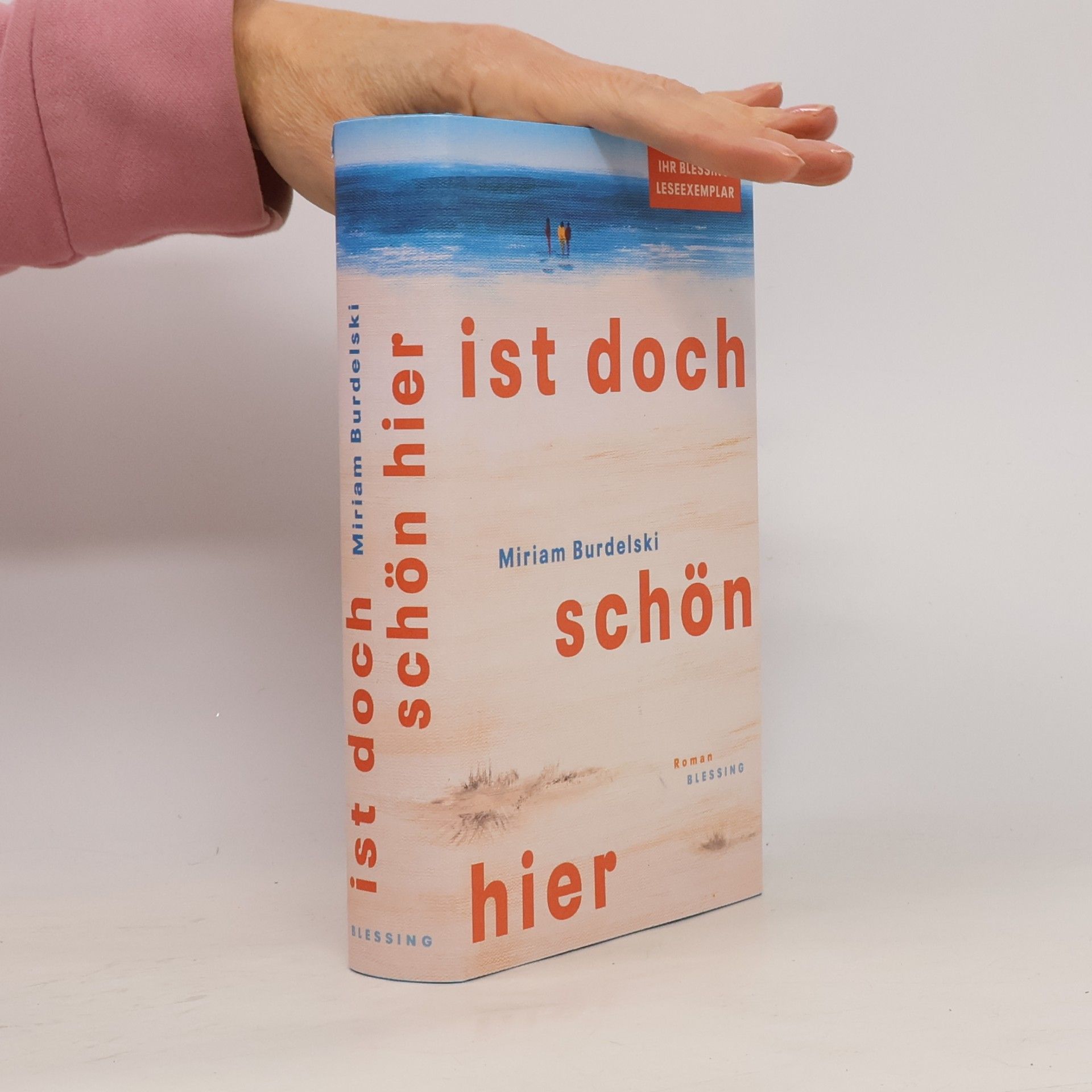 Ist doch schön hier: Roman