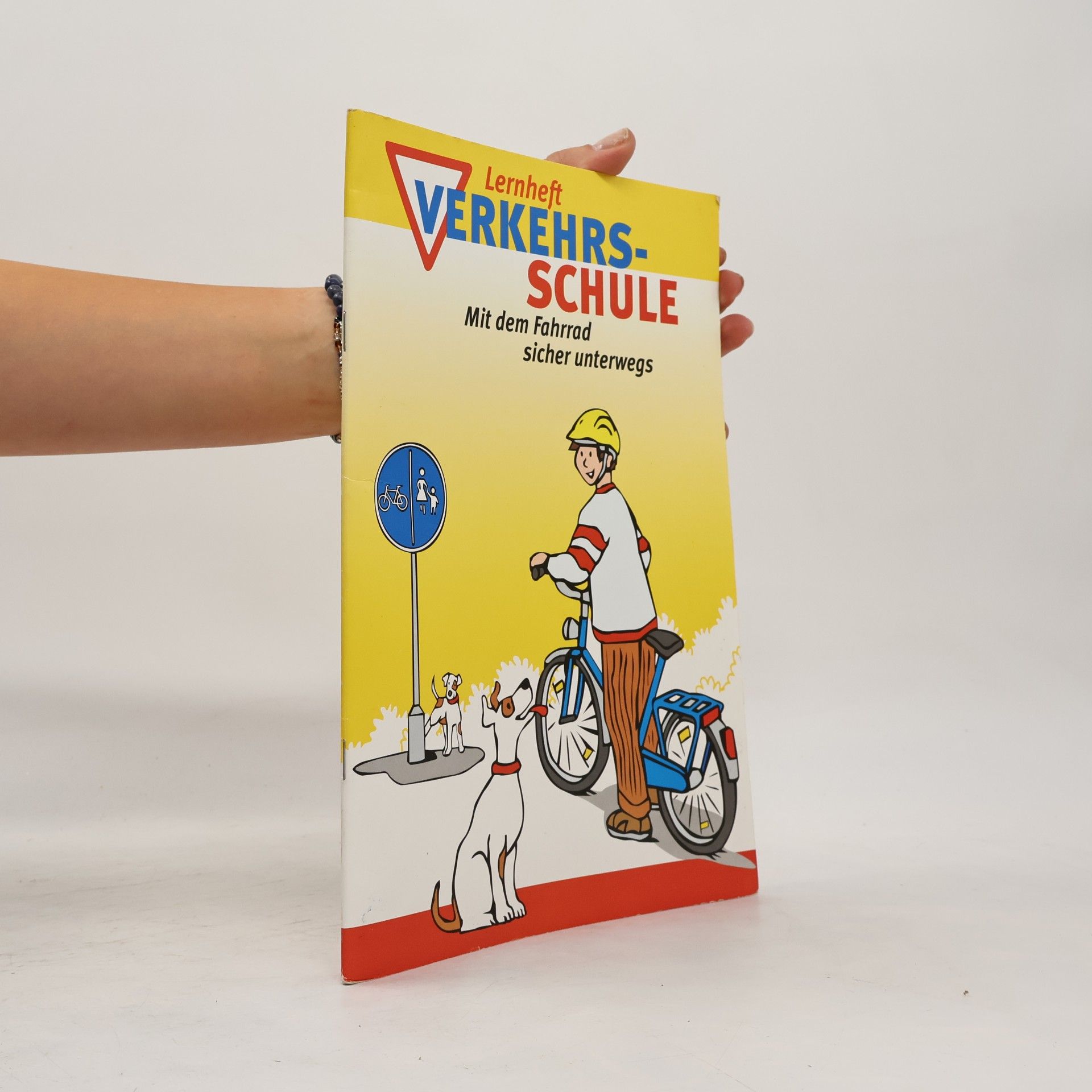 kolektiv Verkehrsschule