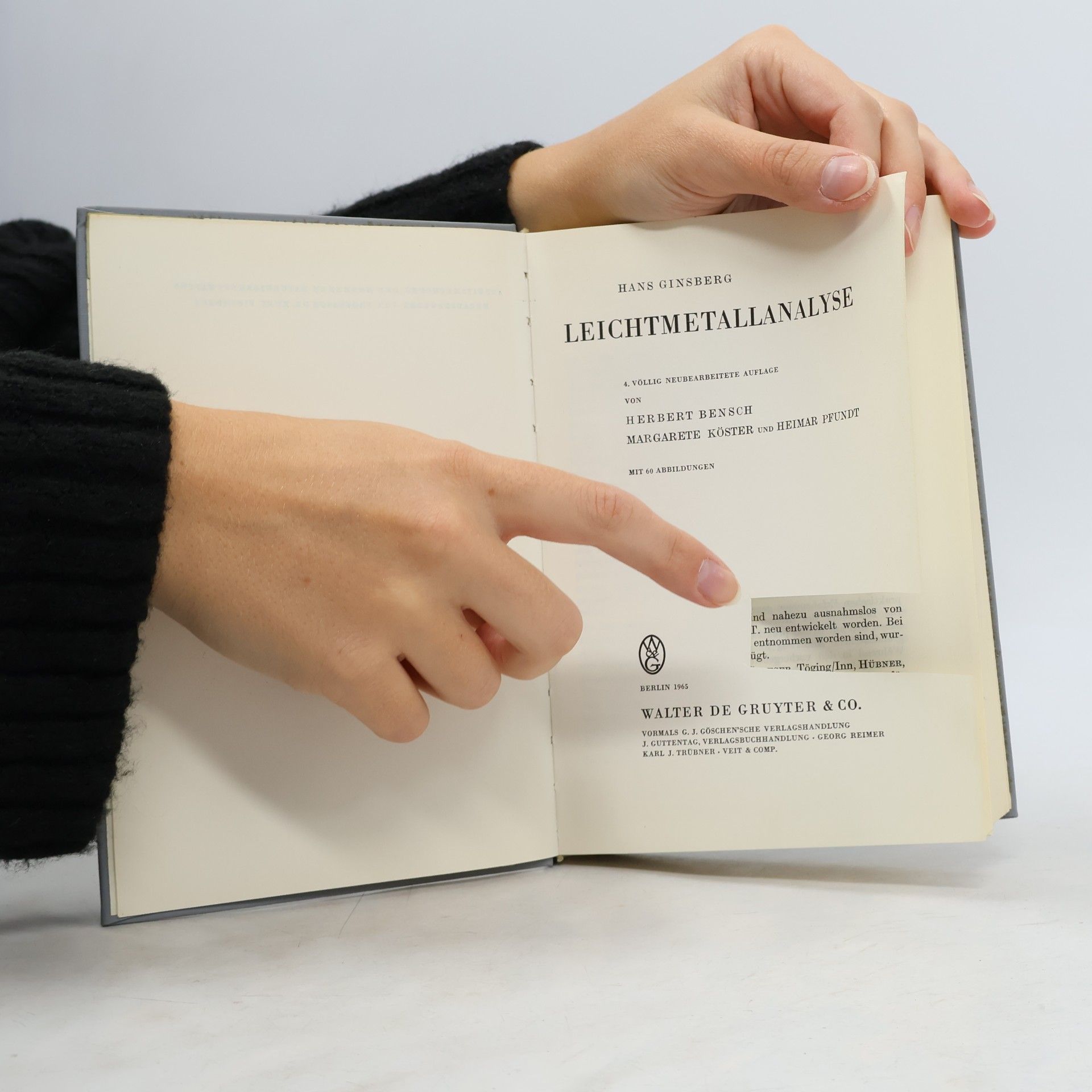 H. Ginsberg Leichtmetall Analyse