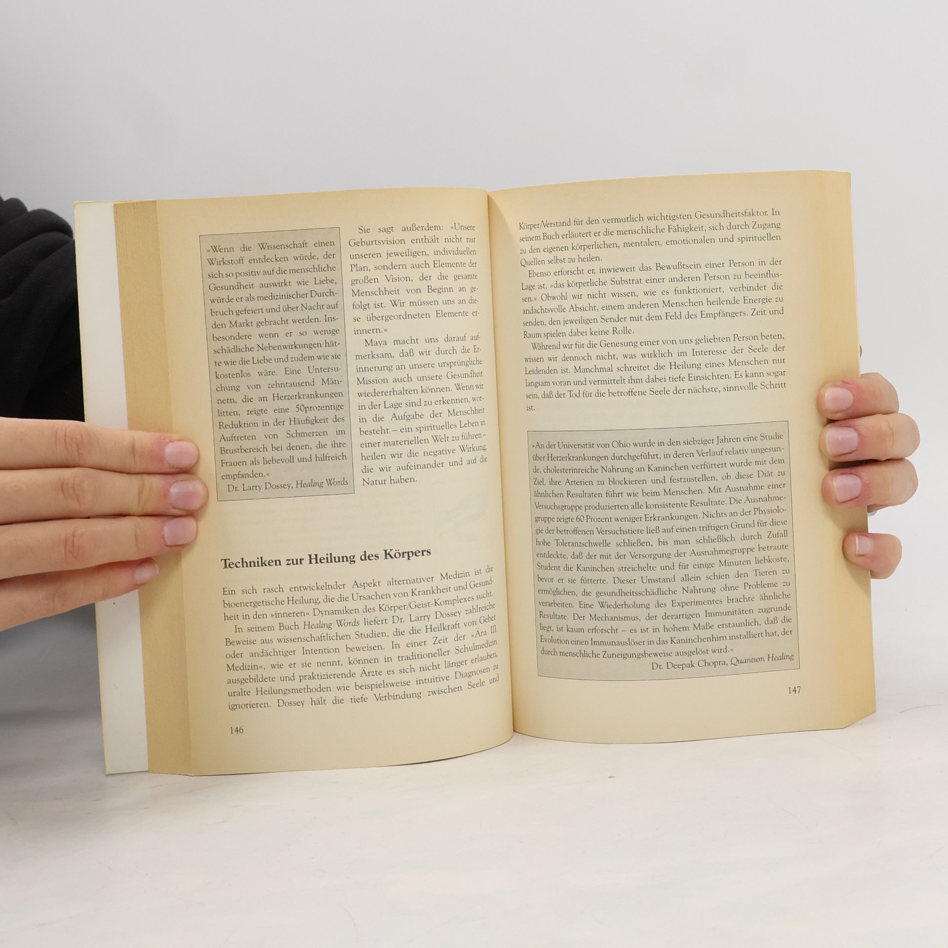James Redfield Das Handbuch der zehnten Prophezeiung von Celestine