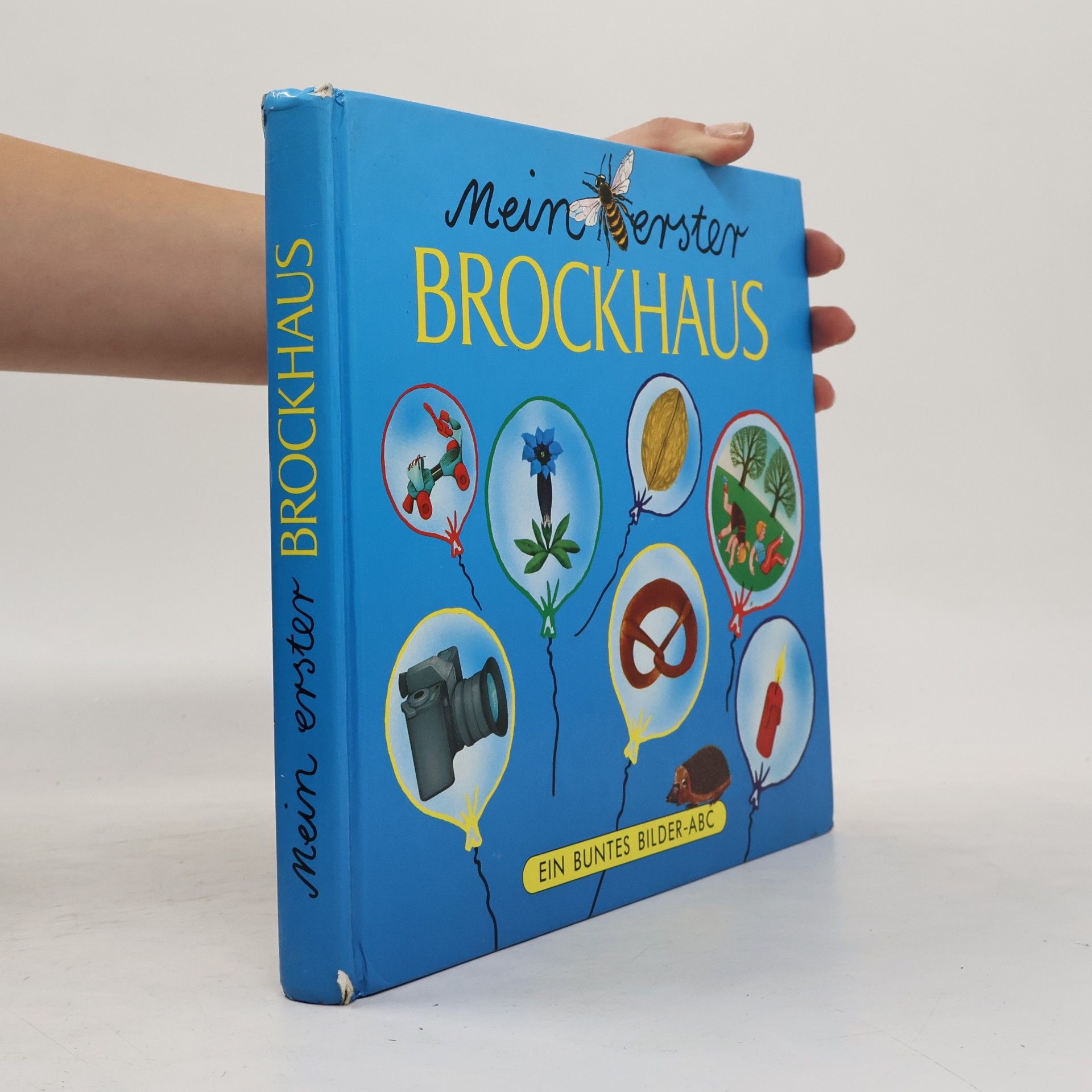 Kolektiv autorů Mein erster Brockhaus