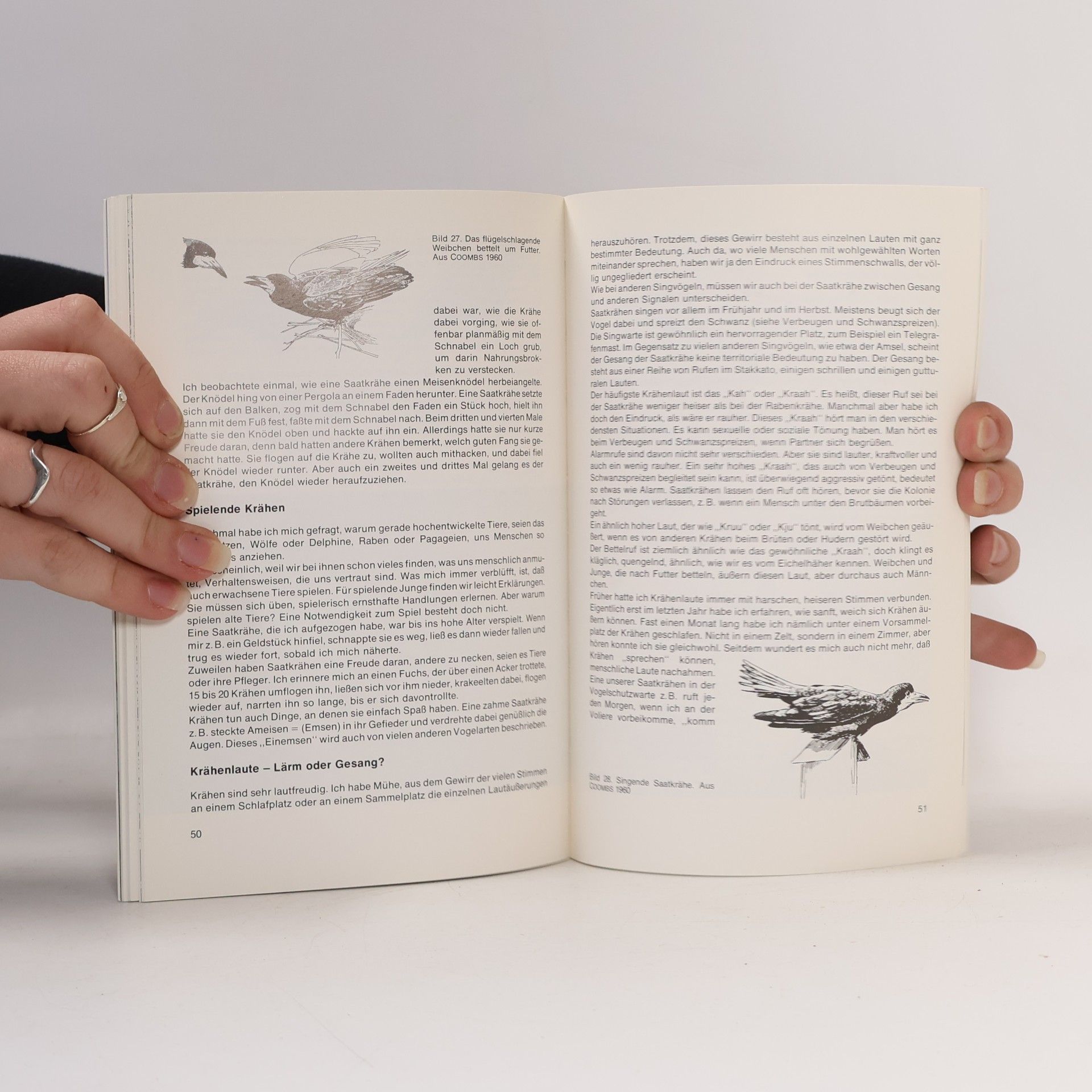Klaus Ruge DBV-Buch: Die Saatkrähe