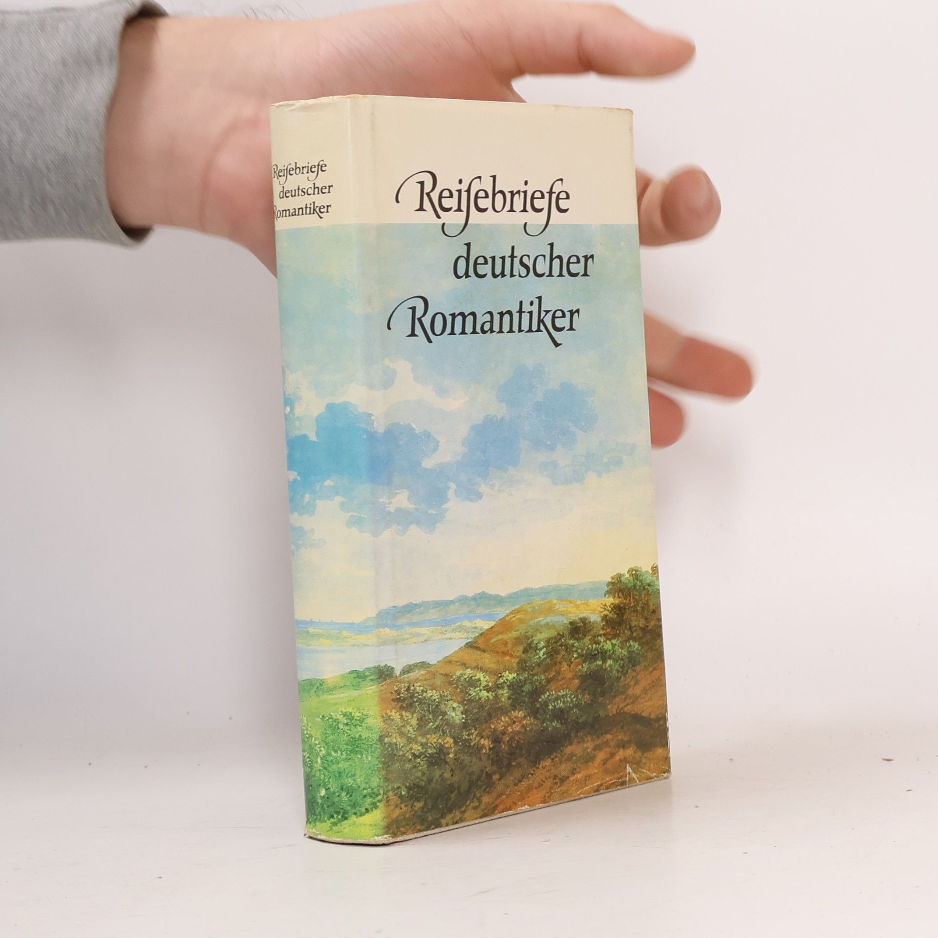 Kolektív autorov Reisebriefe deutscher Romantiker