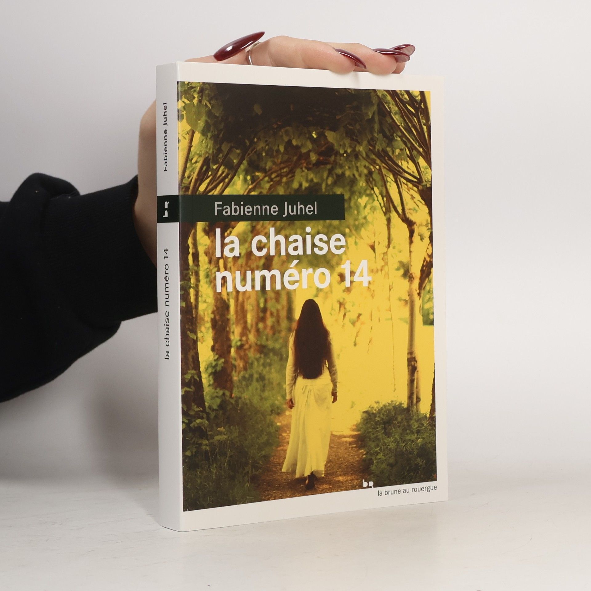 Fabienne Juhel La chaise numéro 14
