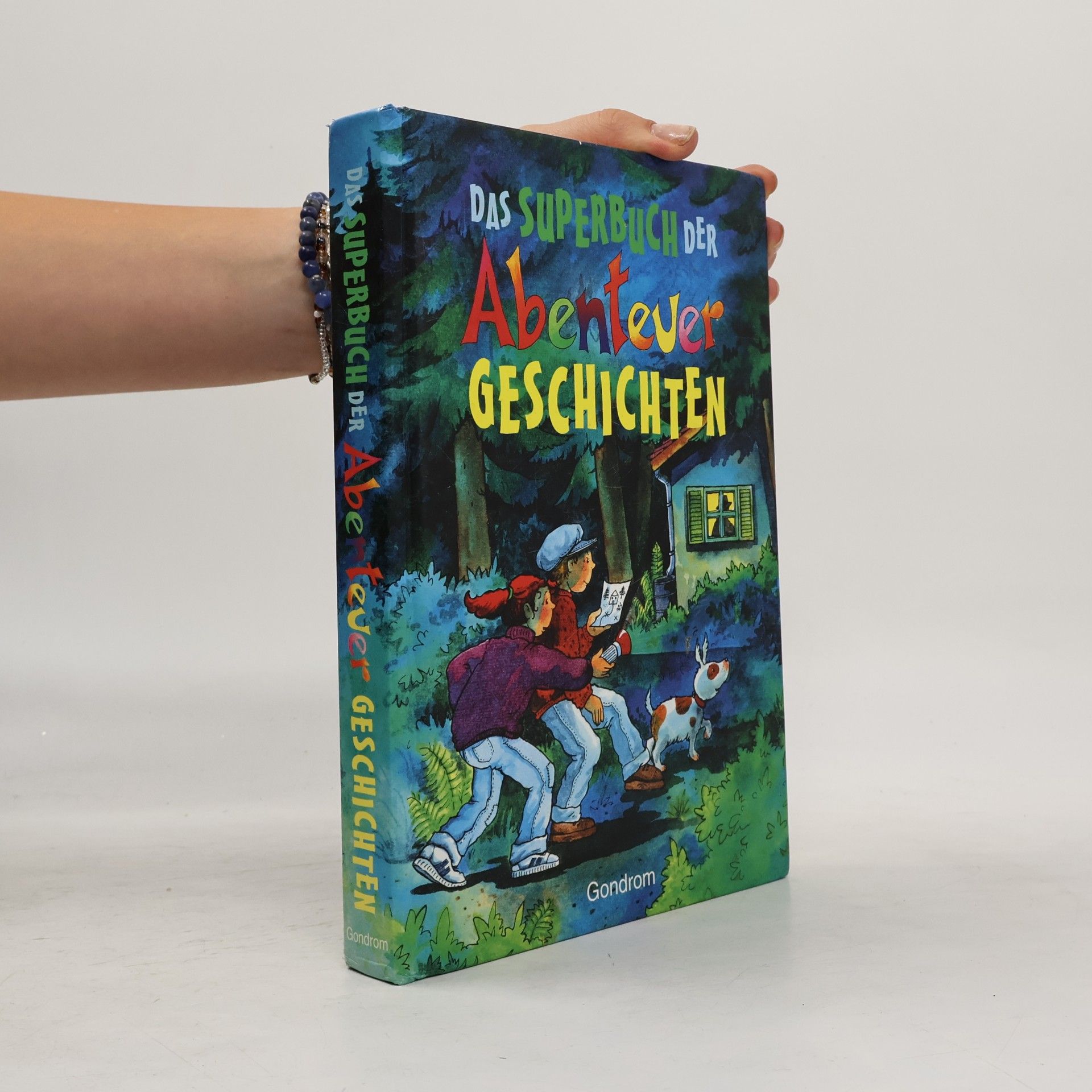 Marliese Arold Das Superbuch der Abenteuer-Geschichten