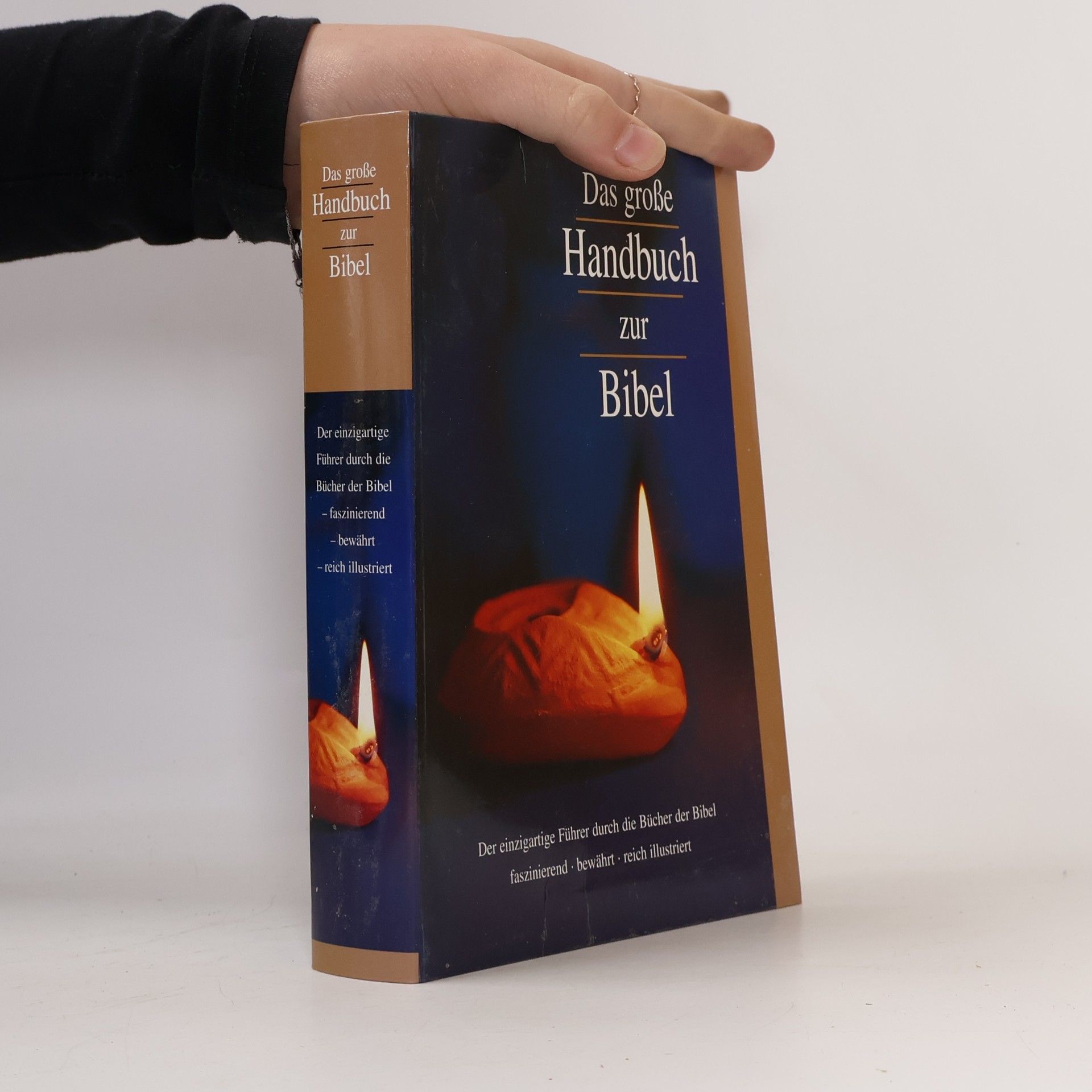 Das große Handbuch zur Bibel
