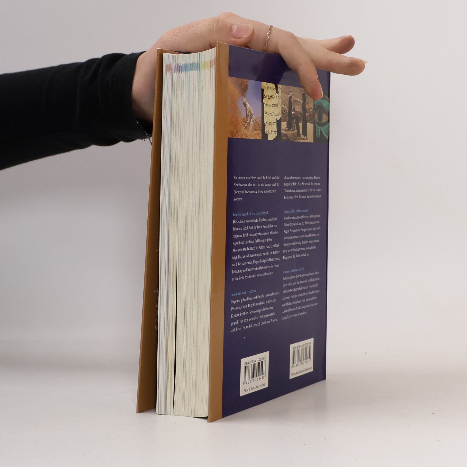 Pat Alexander Das große Handbuch zur Bibel