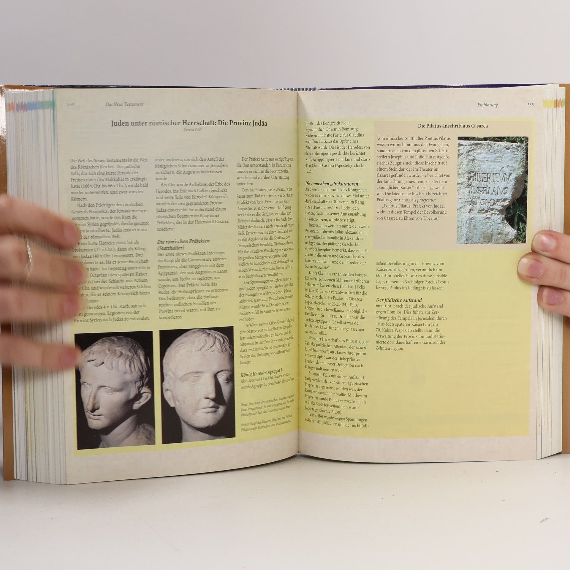 Pat Alexander Das große Handbuch zur Bibel