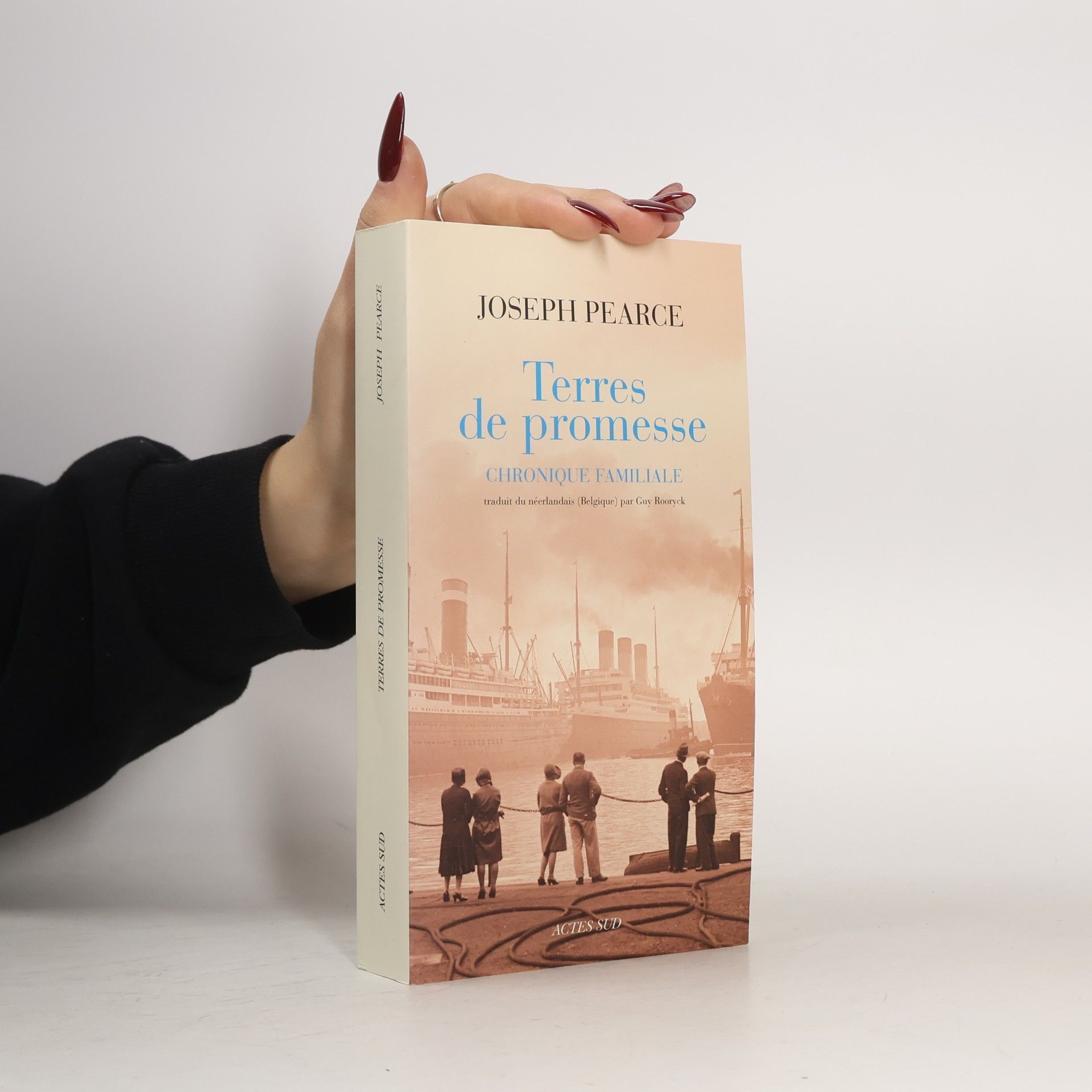 Terres de promesse. Une chronique familiale