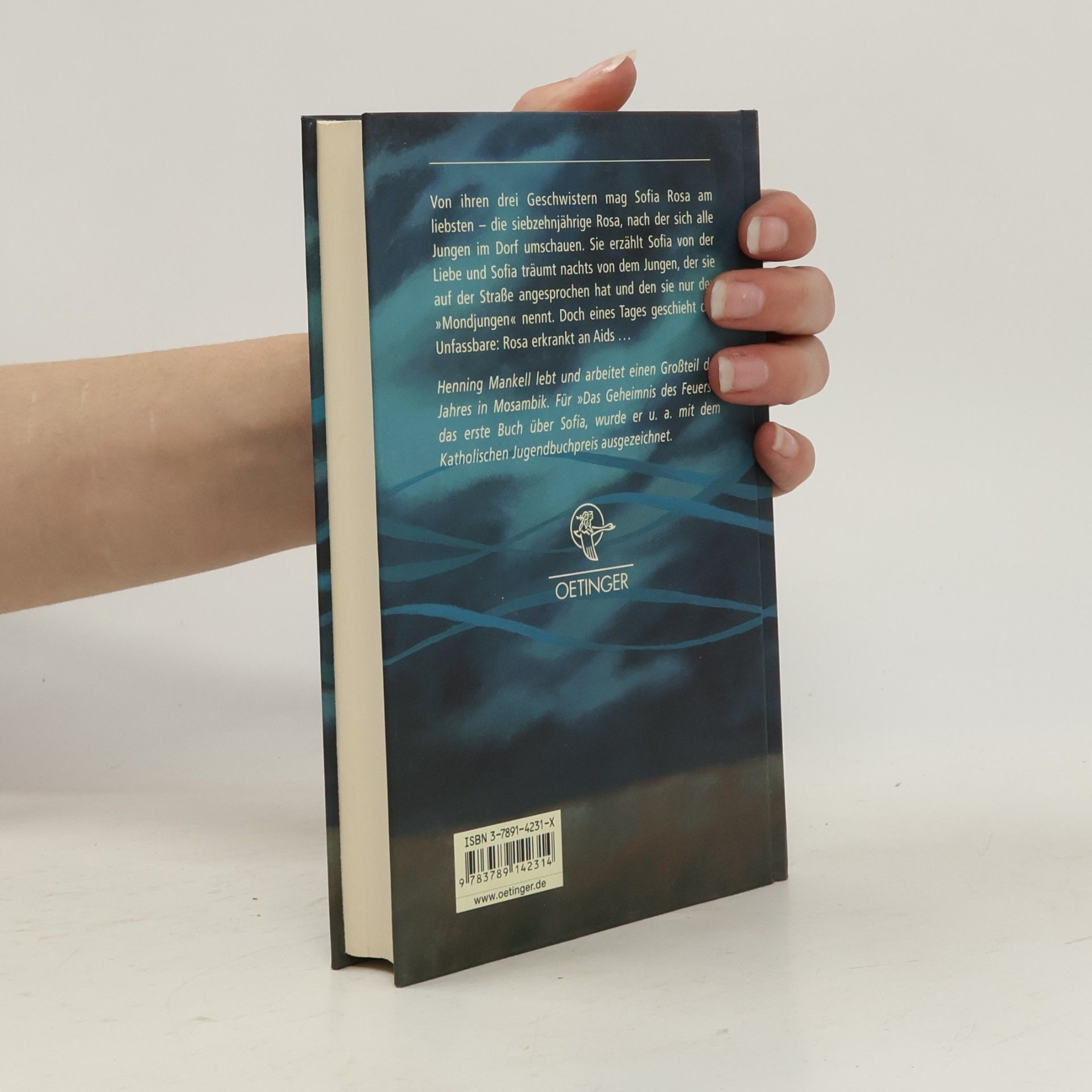 Henning Mankell Das Rätsel des Feuers