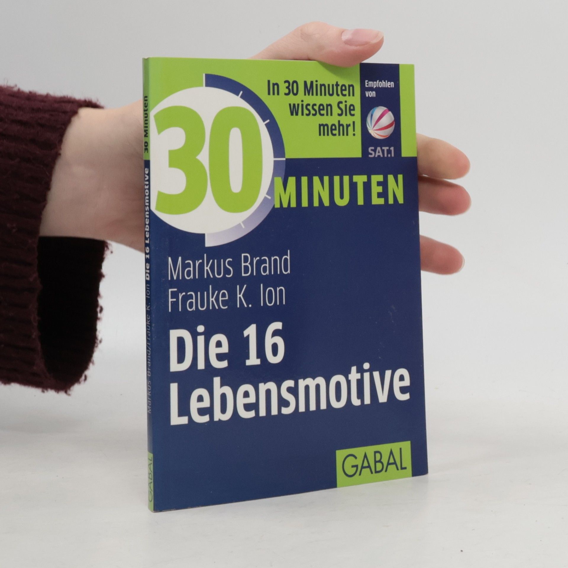 30 Minuten Die 16 Lebensmotive
