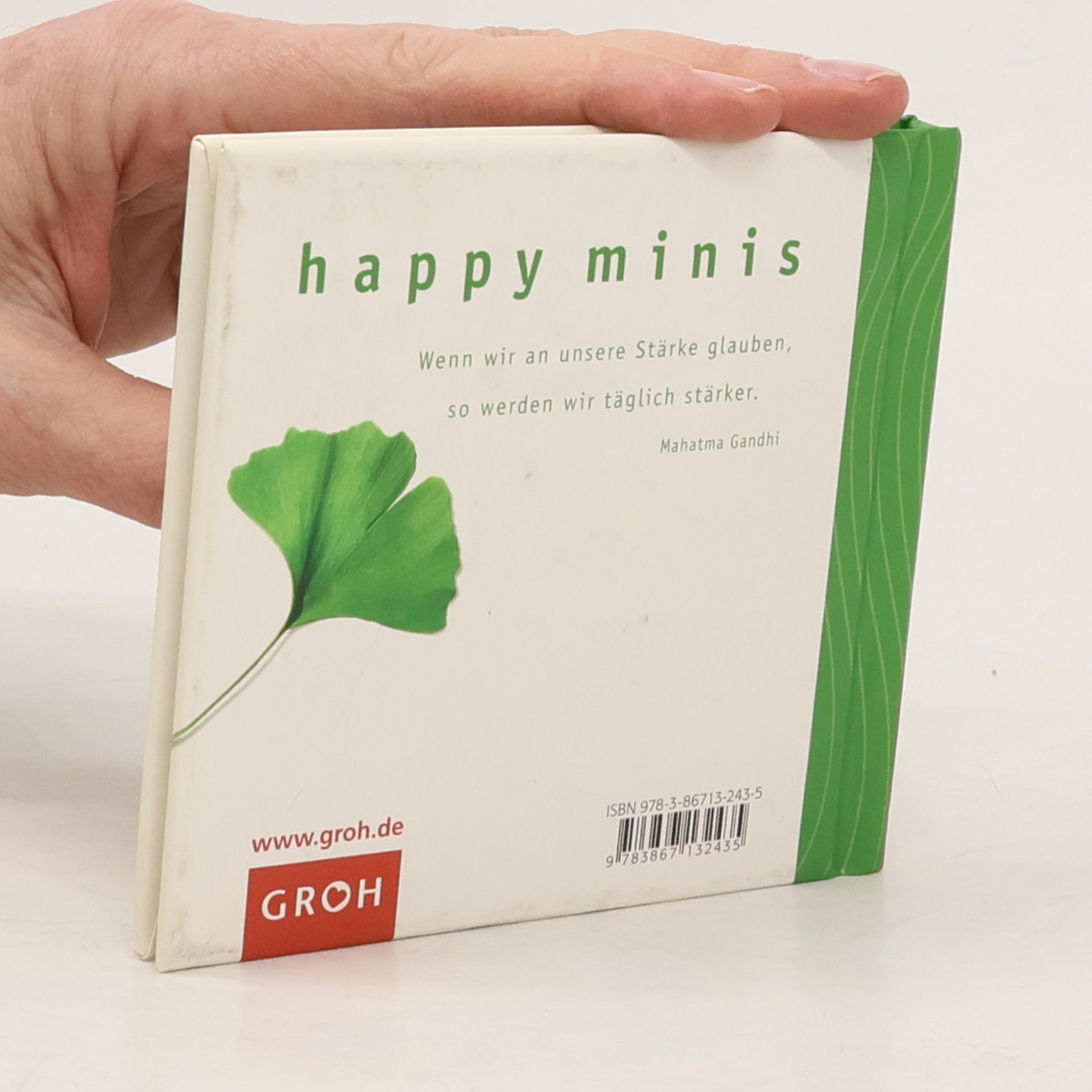 Celeste Marin Happy Minis: Das kleine Buch für starke Nerven