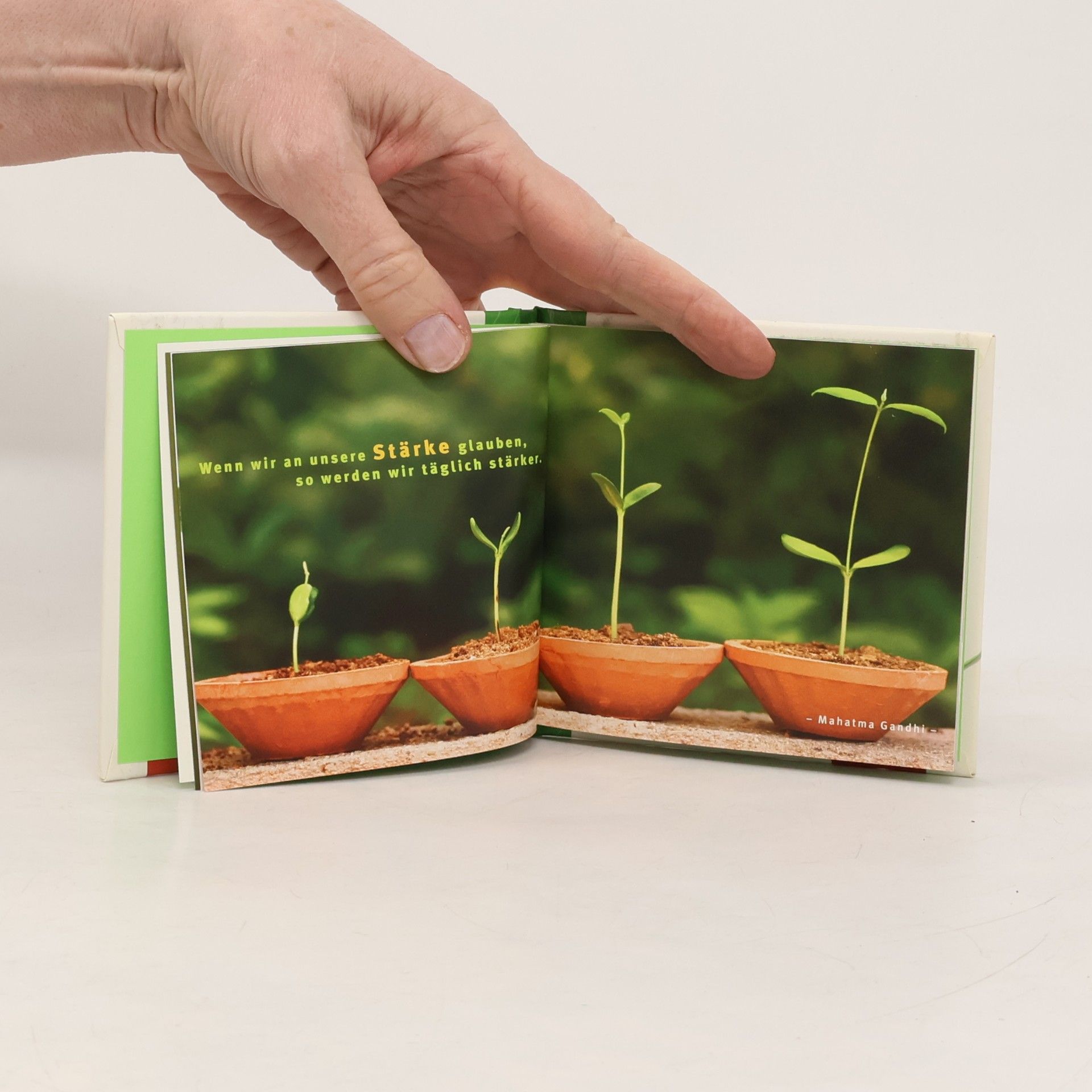 Celeste Marin Happy Minis: Das kleine Buch für starke Nerven