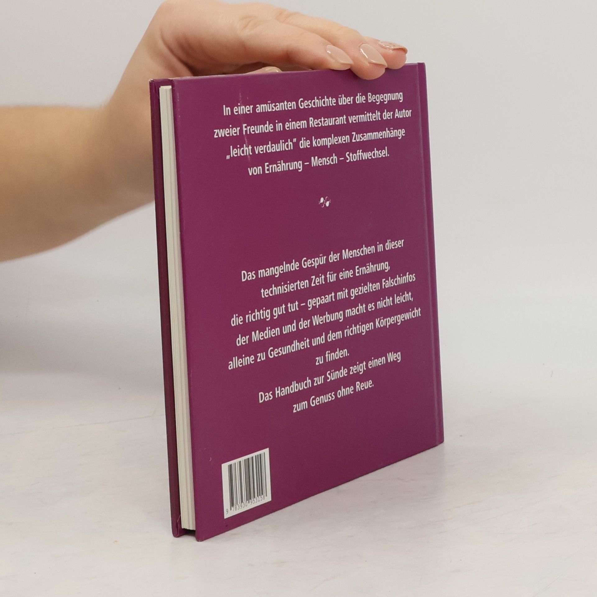 Jörg Krebber Handbuch zur Sünde