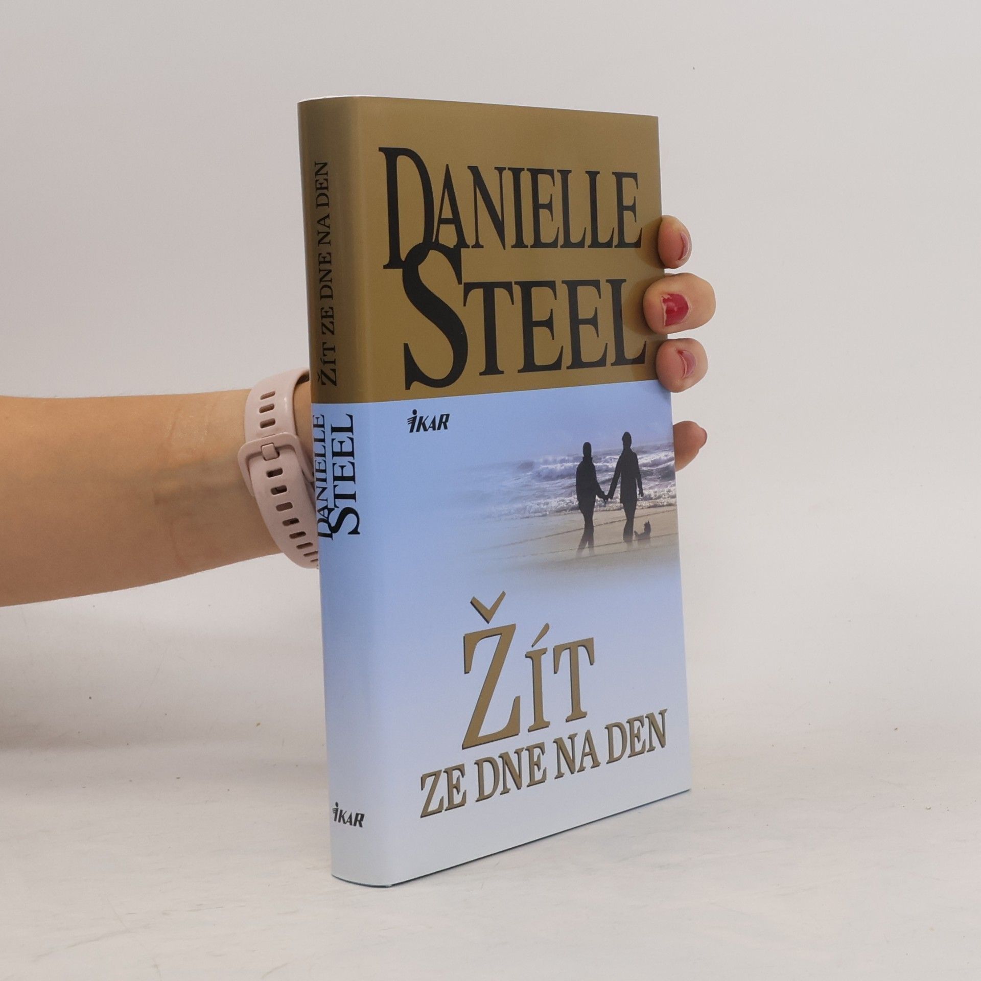 Danielle Steel Žít ze dne na den
