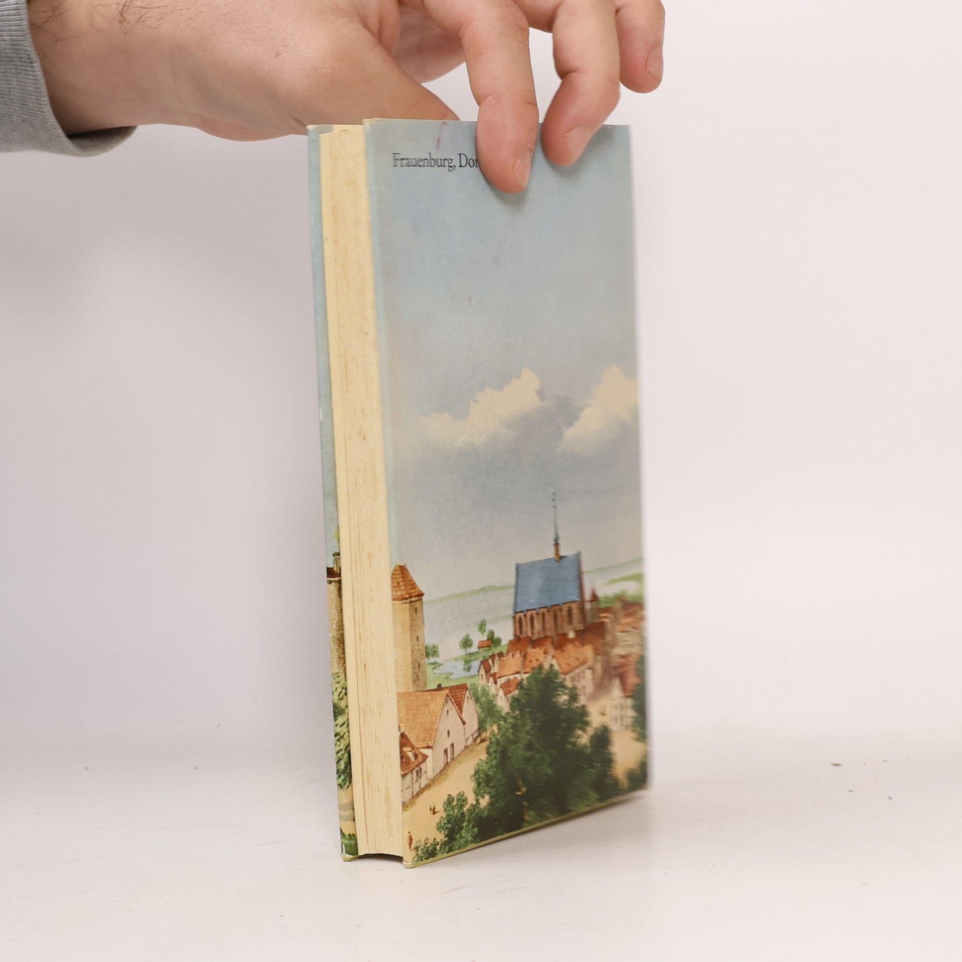 Various authors Dome Kirchen und Klöster in Ost- und Westpreußen