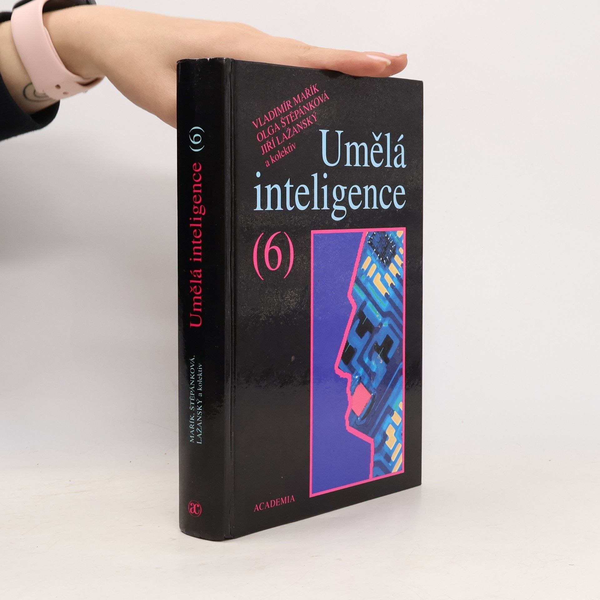 Umělá inteligence. (6)